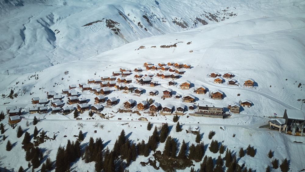 an aerial view of a village in the mountains