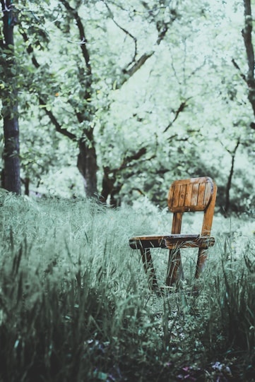 a wooden chair sitting in the middle of a forest