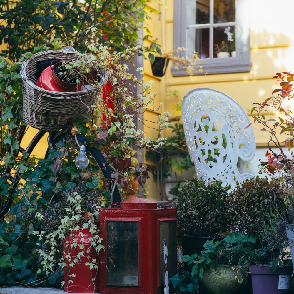 a red fire hydrant sitting in the middle of a garden