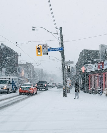 a person standing on a street corner in the snow