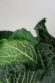 a close up of a green leafy plant
