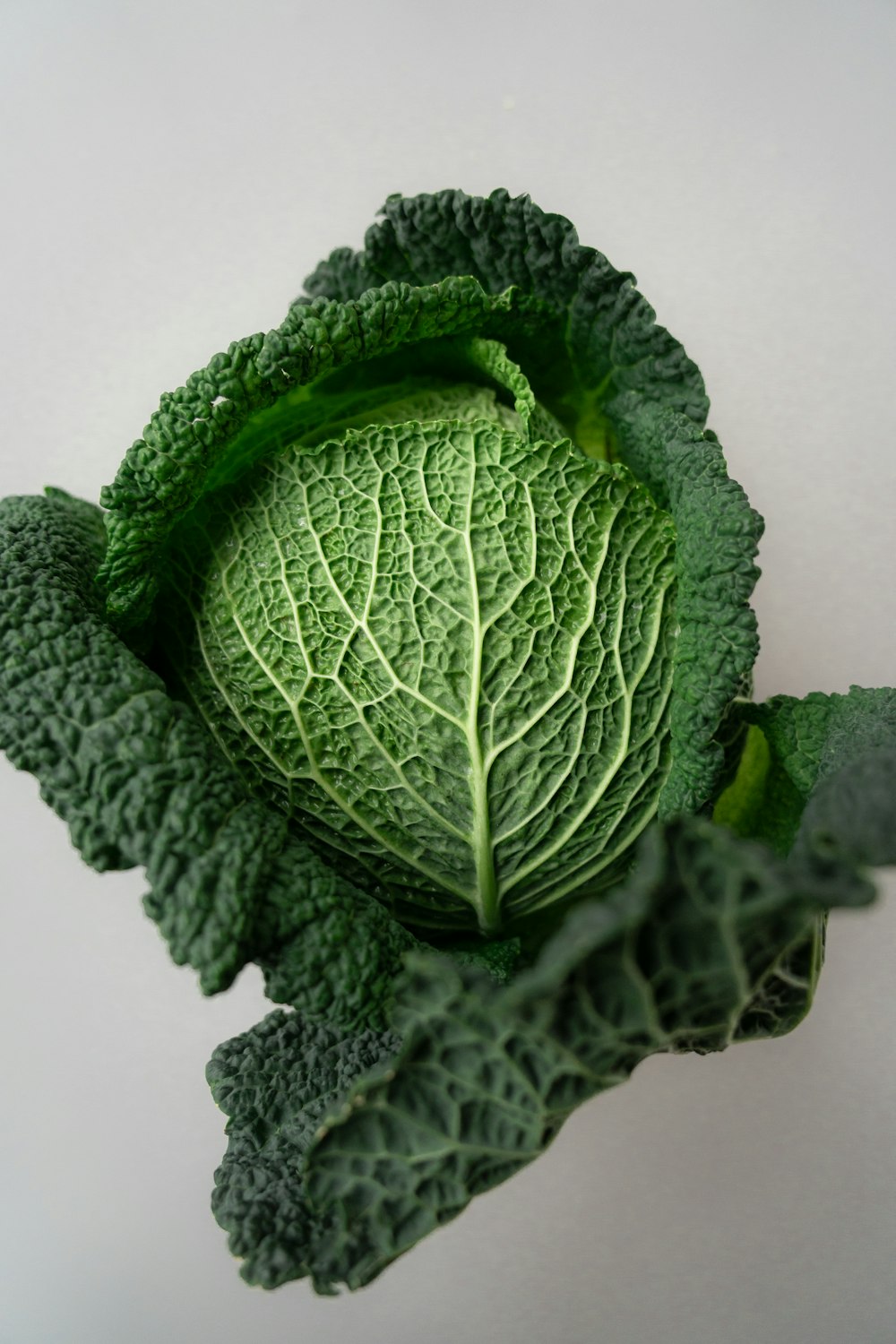 a close up of a green leafy vegetable