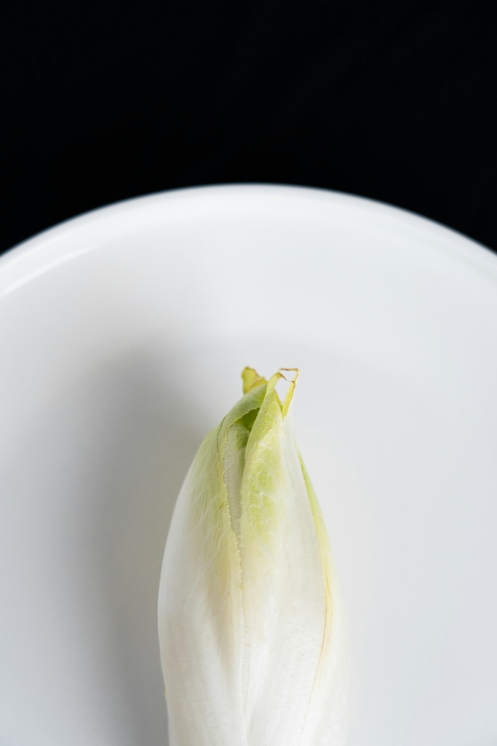 a white flower sitting on top of a white plate