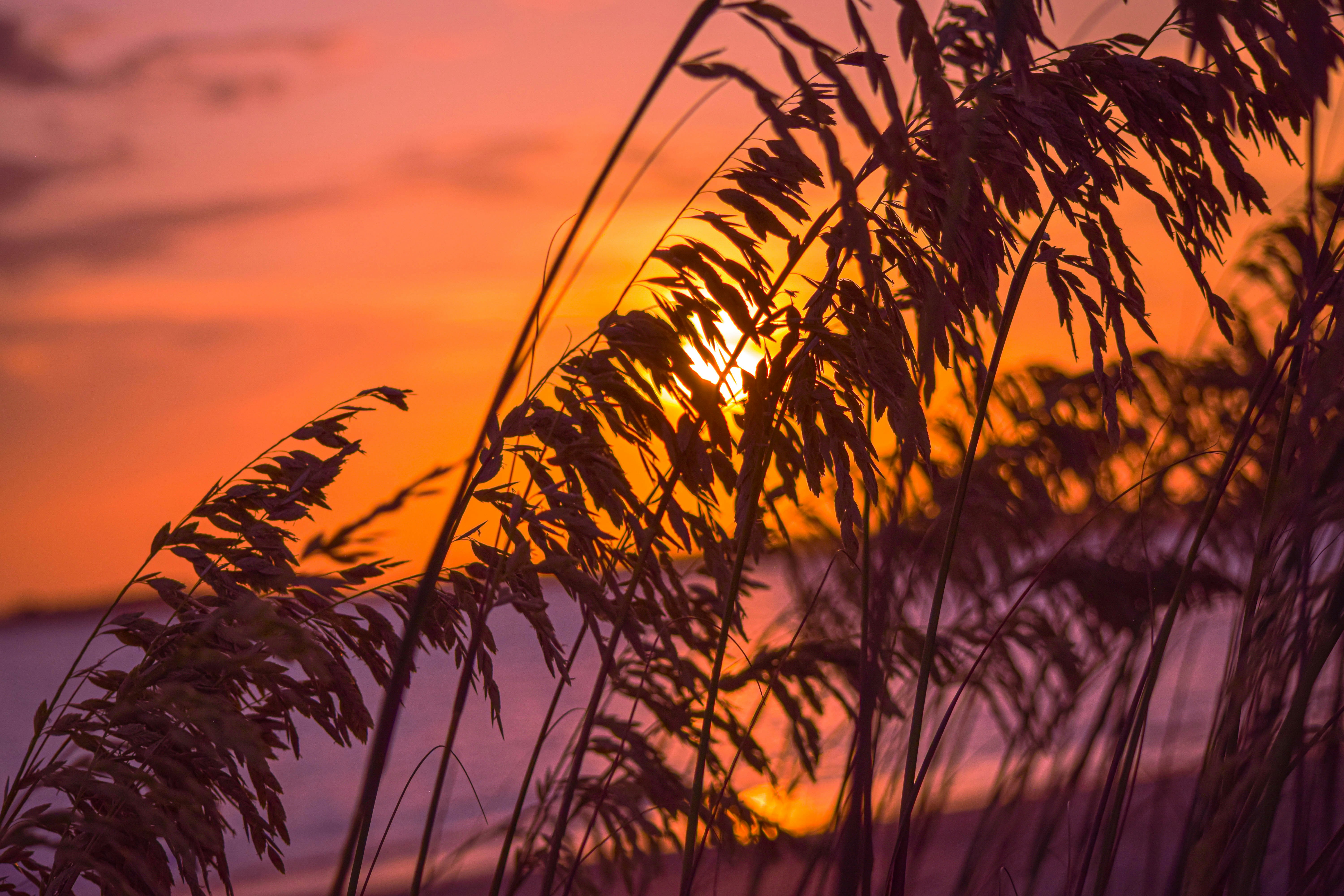 Photo by neal_easterling