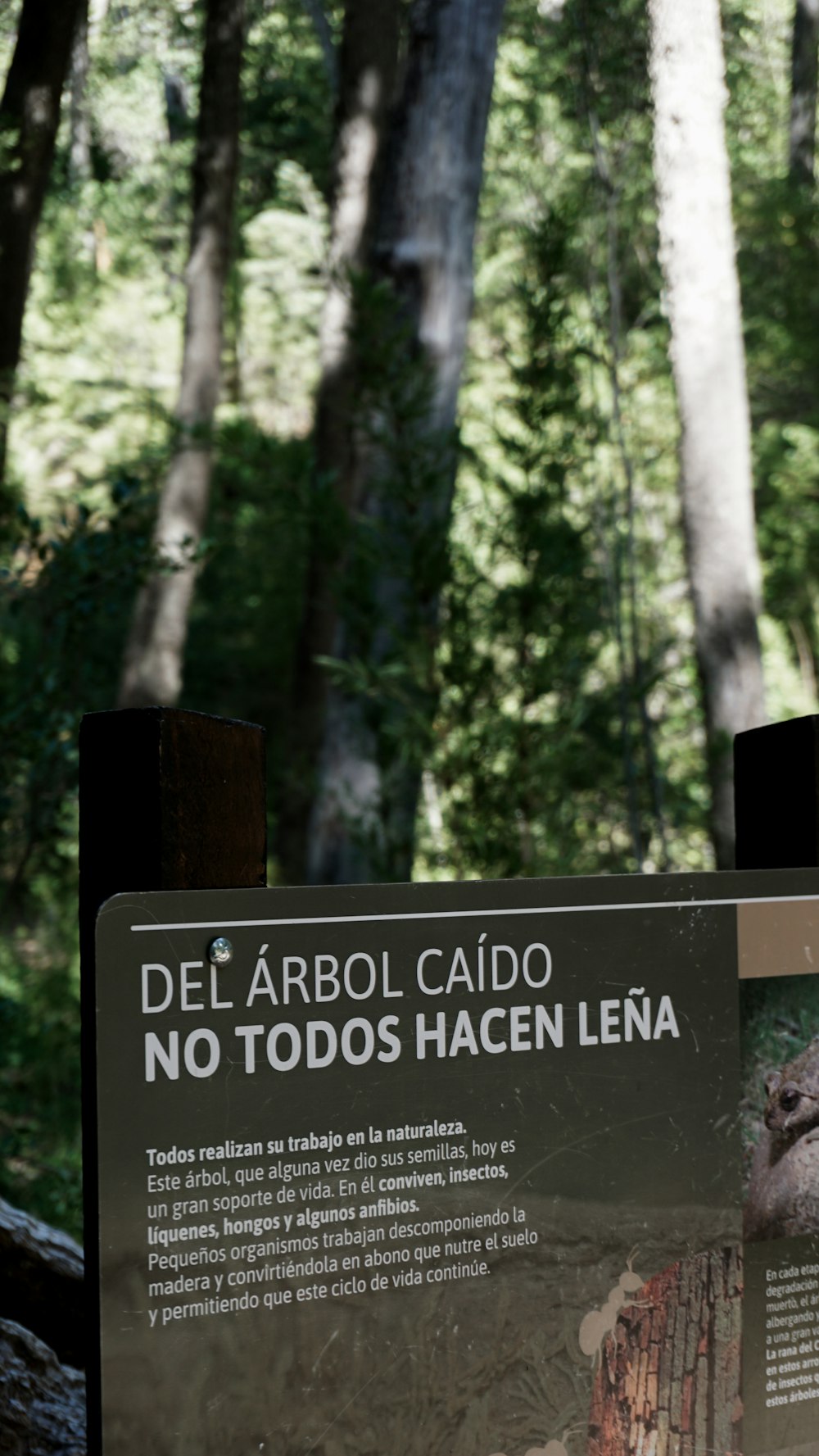 a sign that is in front of some trees