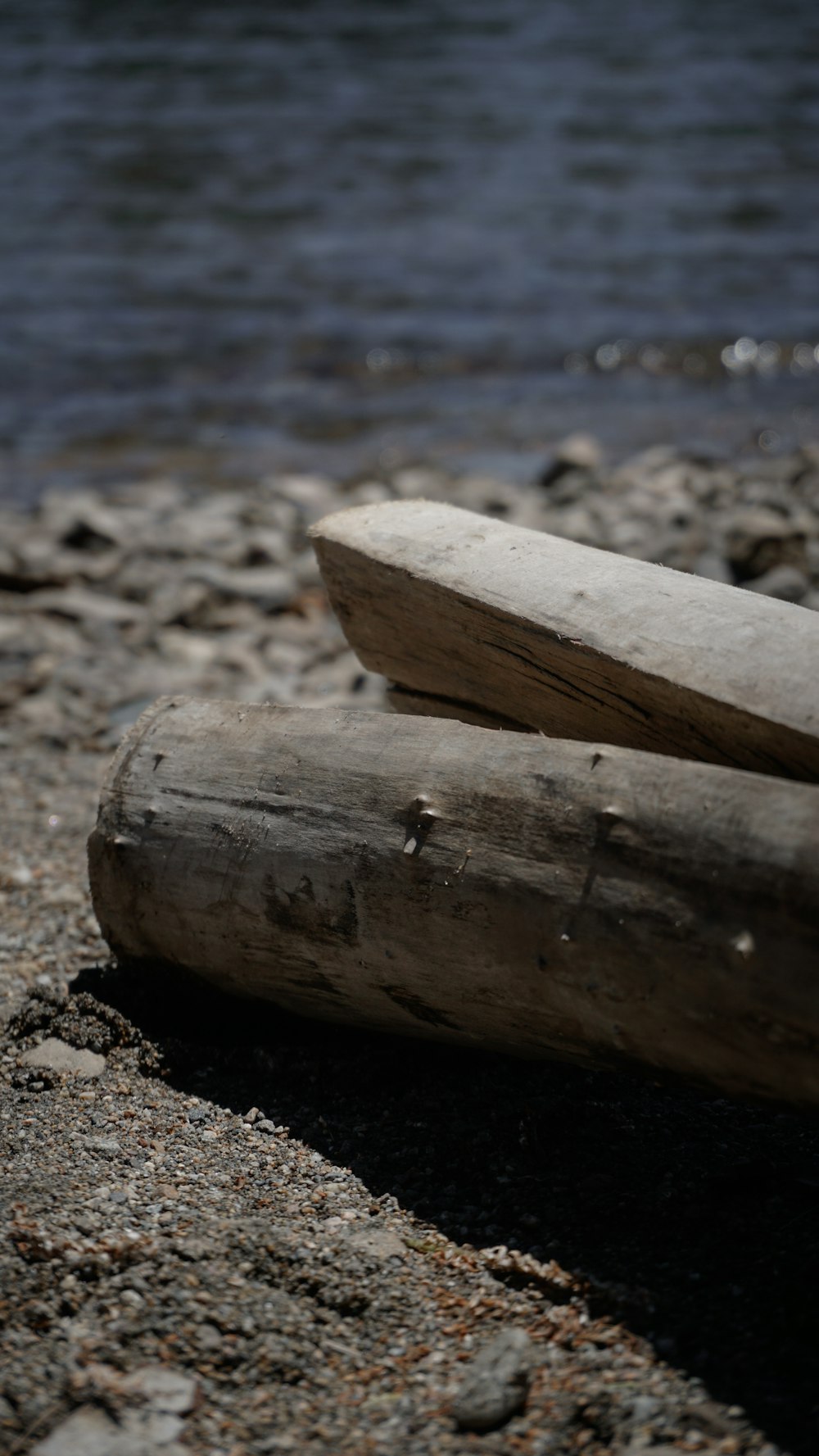 a close up of a piece of wood on a beach