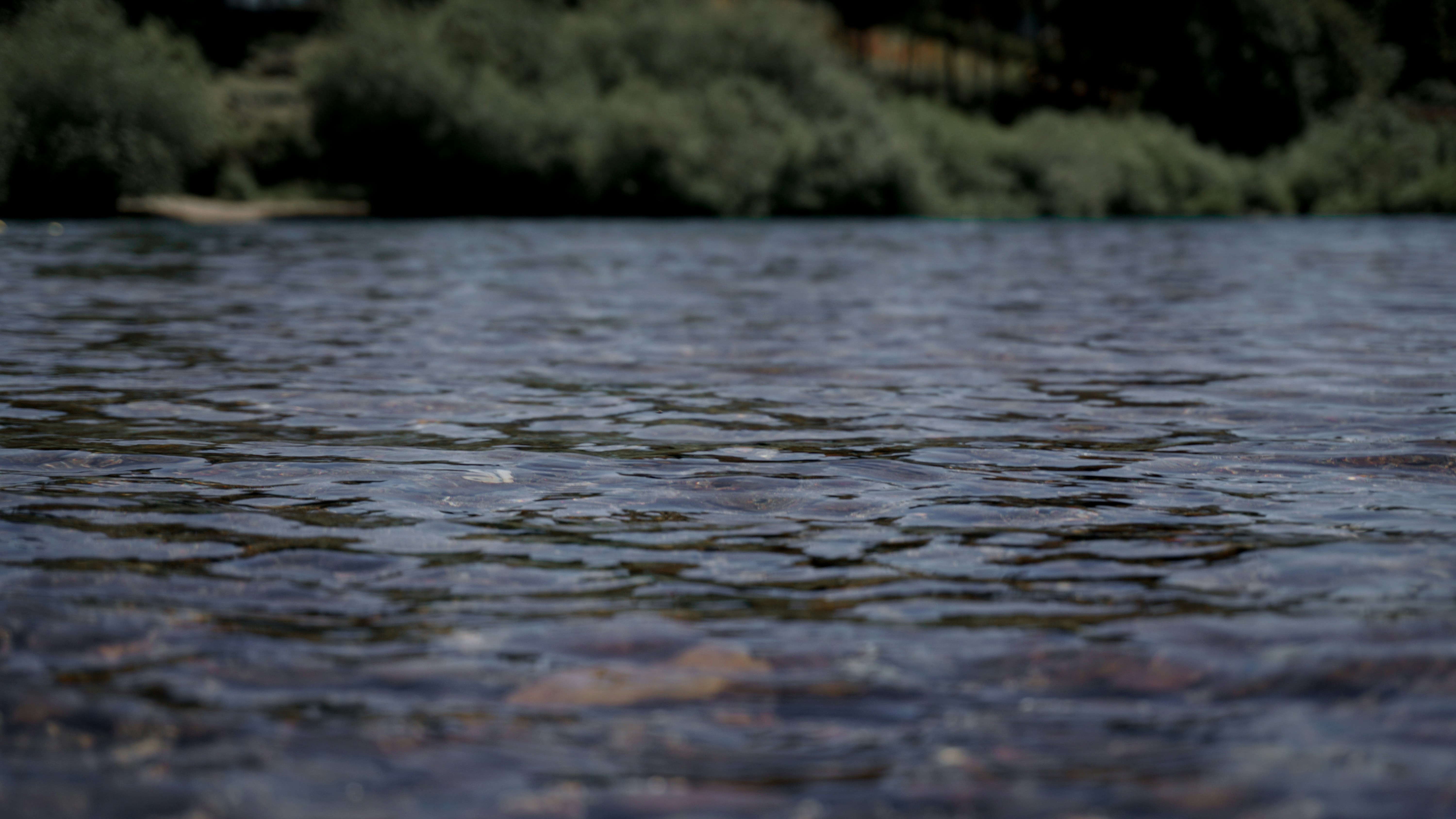 Photo by julianurrutia