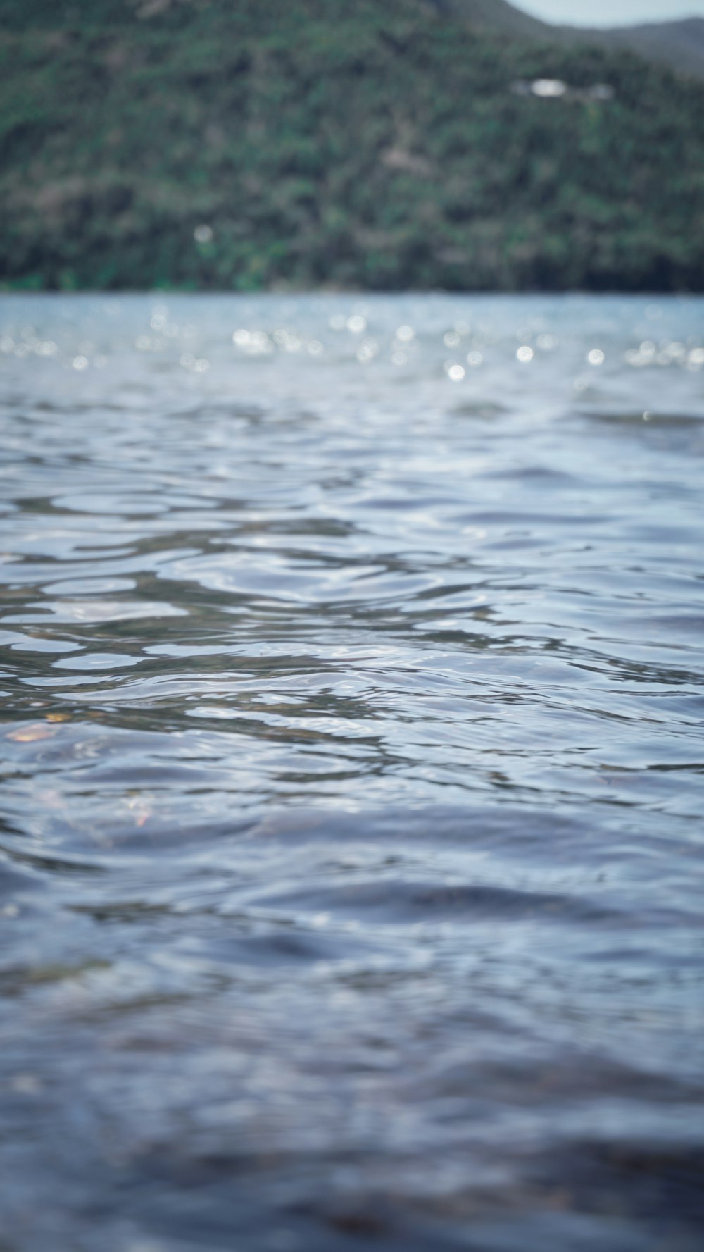 a person in a body of water with a surfboard