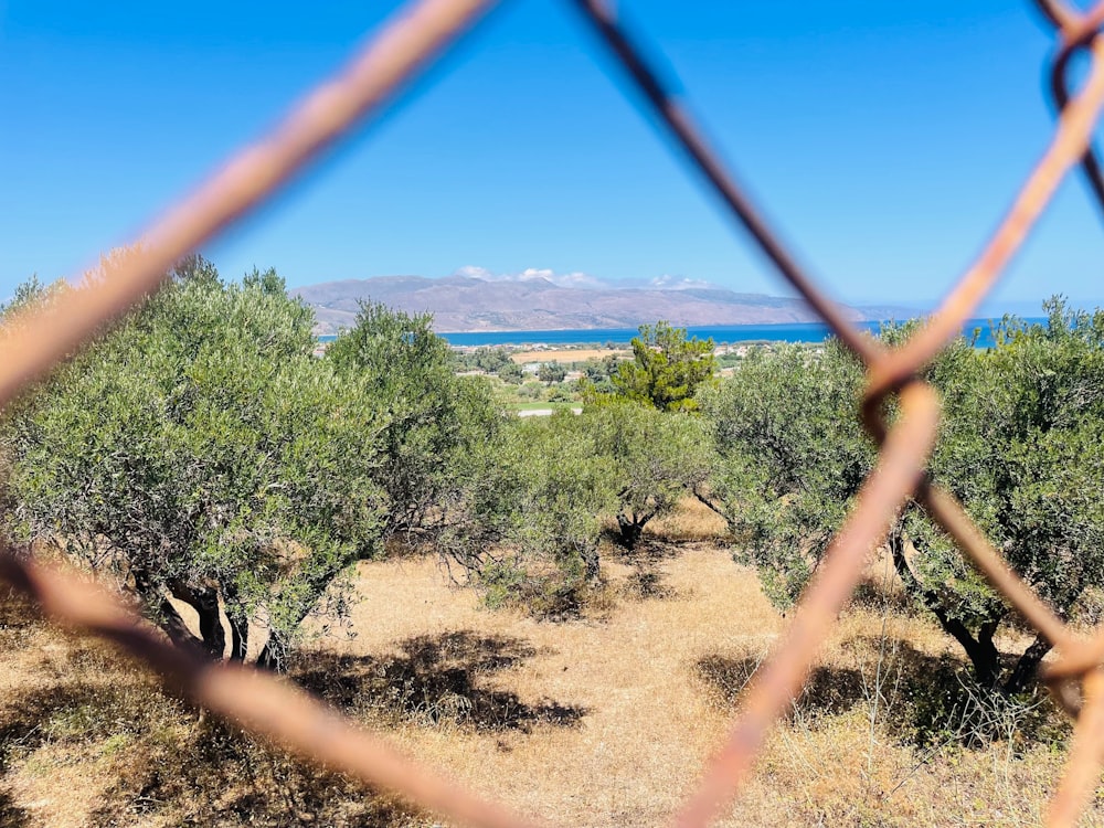 a view of the ocean through a fence