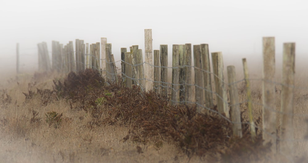 a foggy field with a wooden fence in the foreground