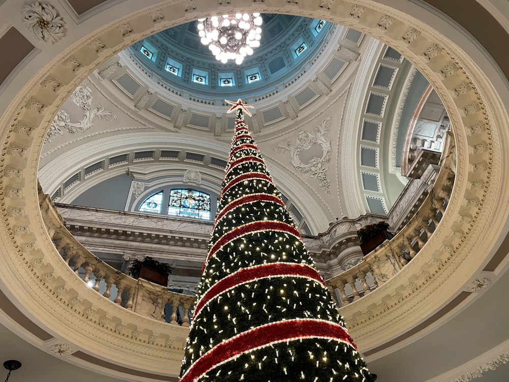 a large christmas tree in a building with a domed ceiling