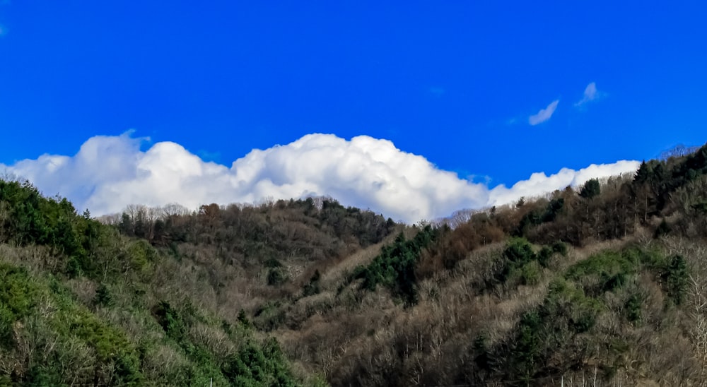 a view of a mountain range with trees and clouds