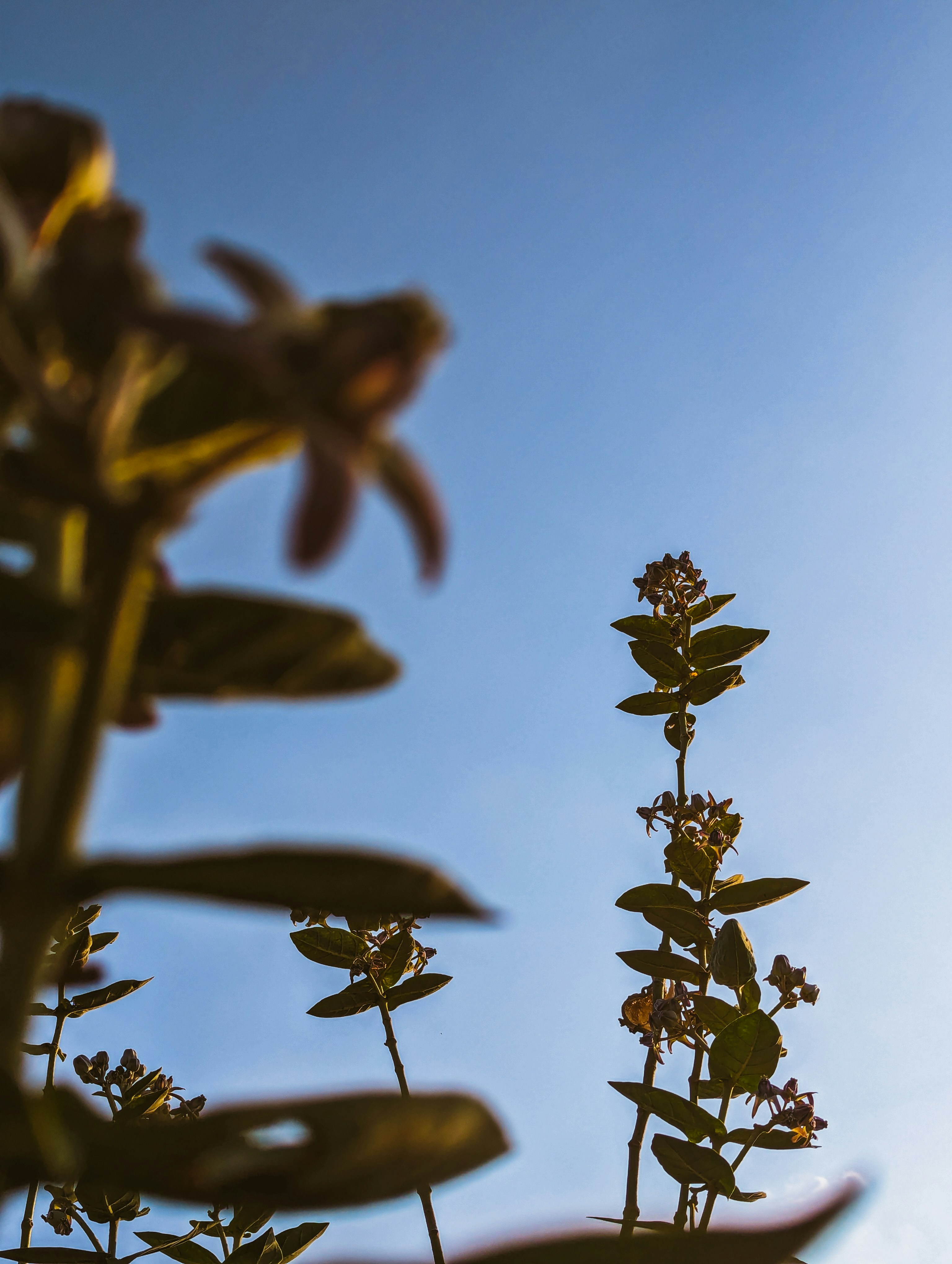 Photo by vikramaditya