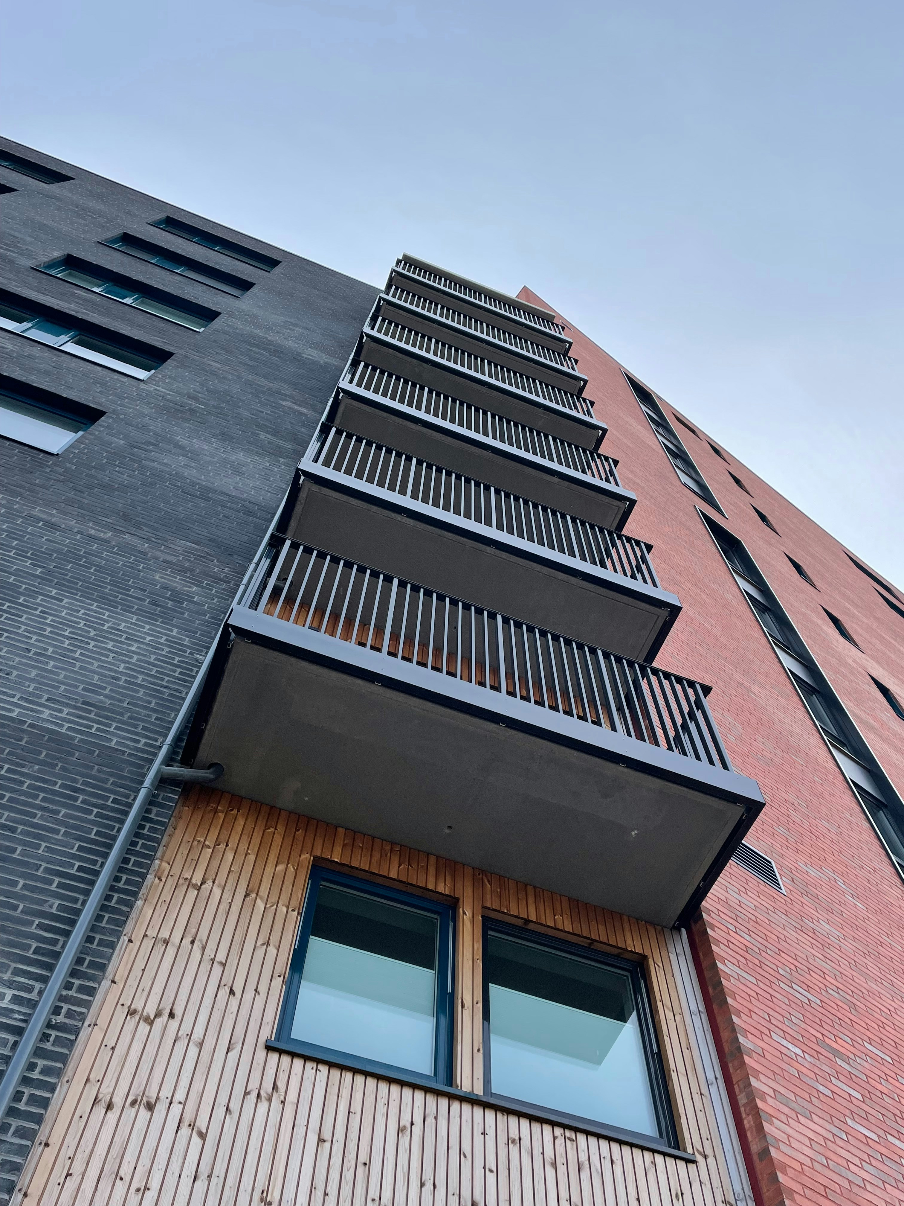 Photo by flyingflamingo