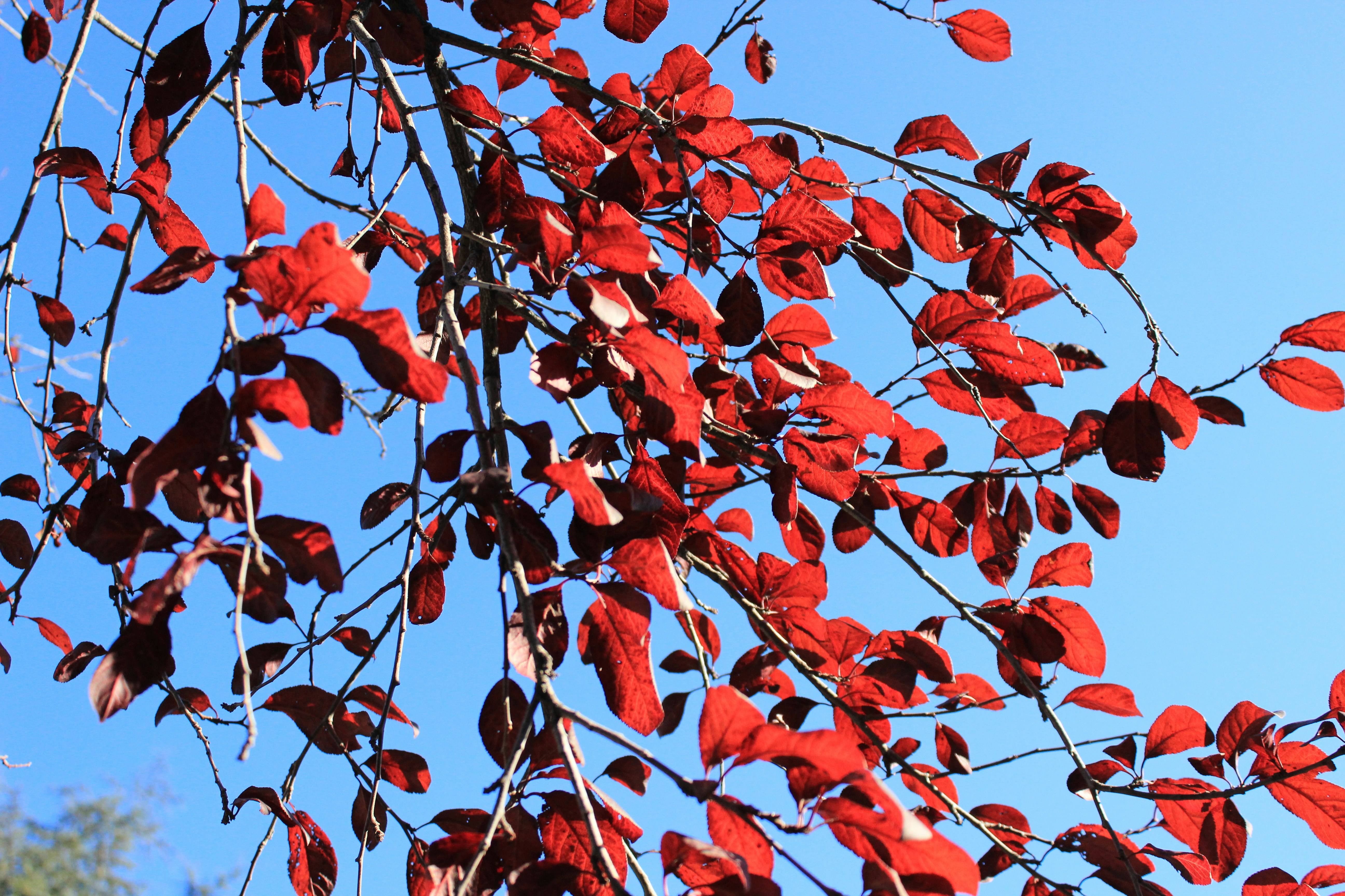 신용등급 조회는 몇 번까지 괜찮을까?