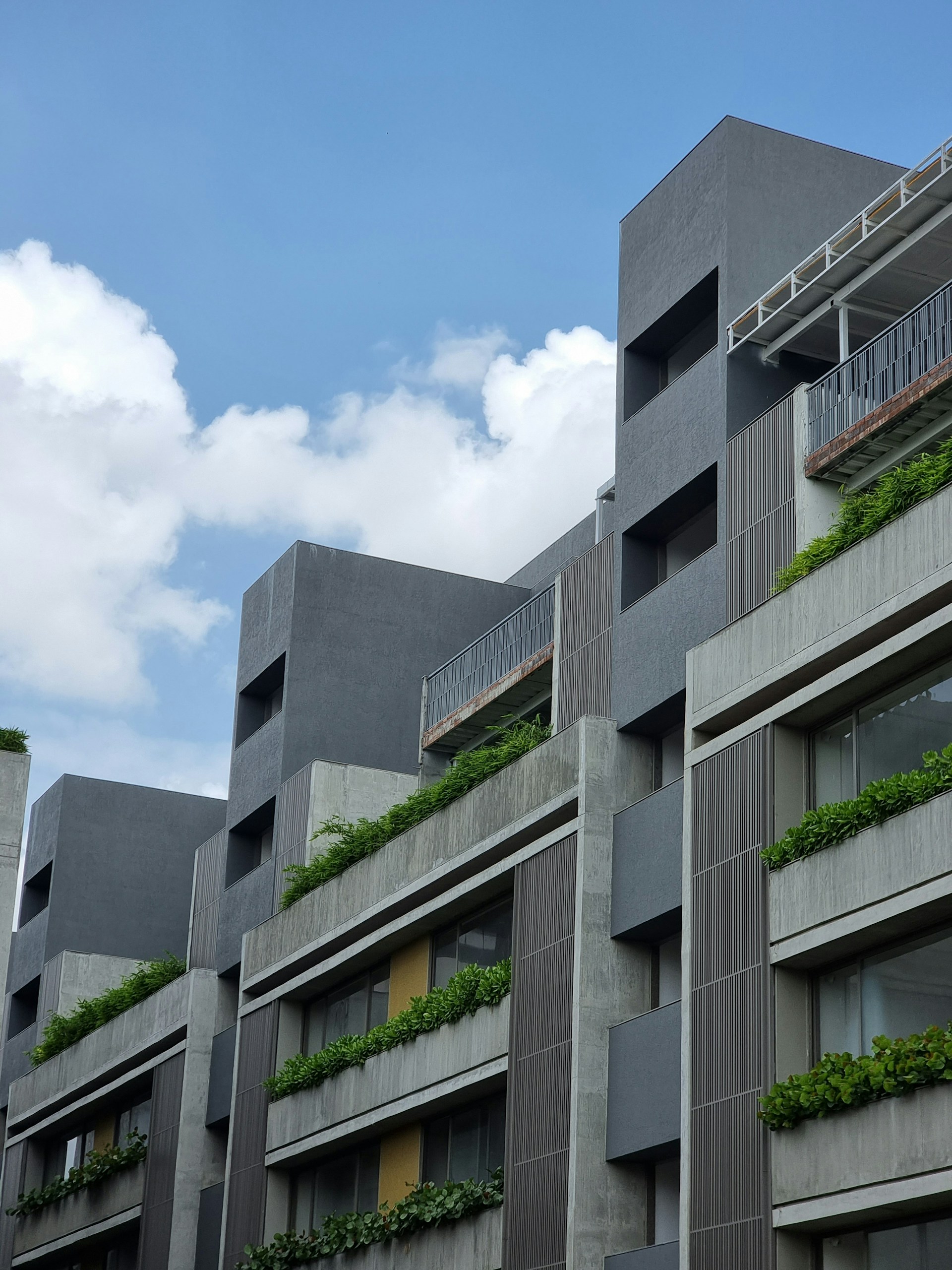 a building with a bunch of plants growing on the side of it