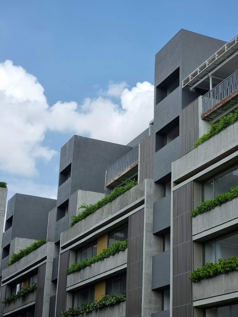 a building with a bunch of plants growing on the side of it