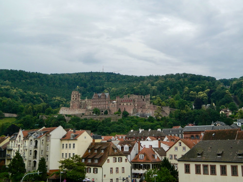 a view of a city with a castle in the background