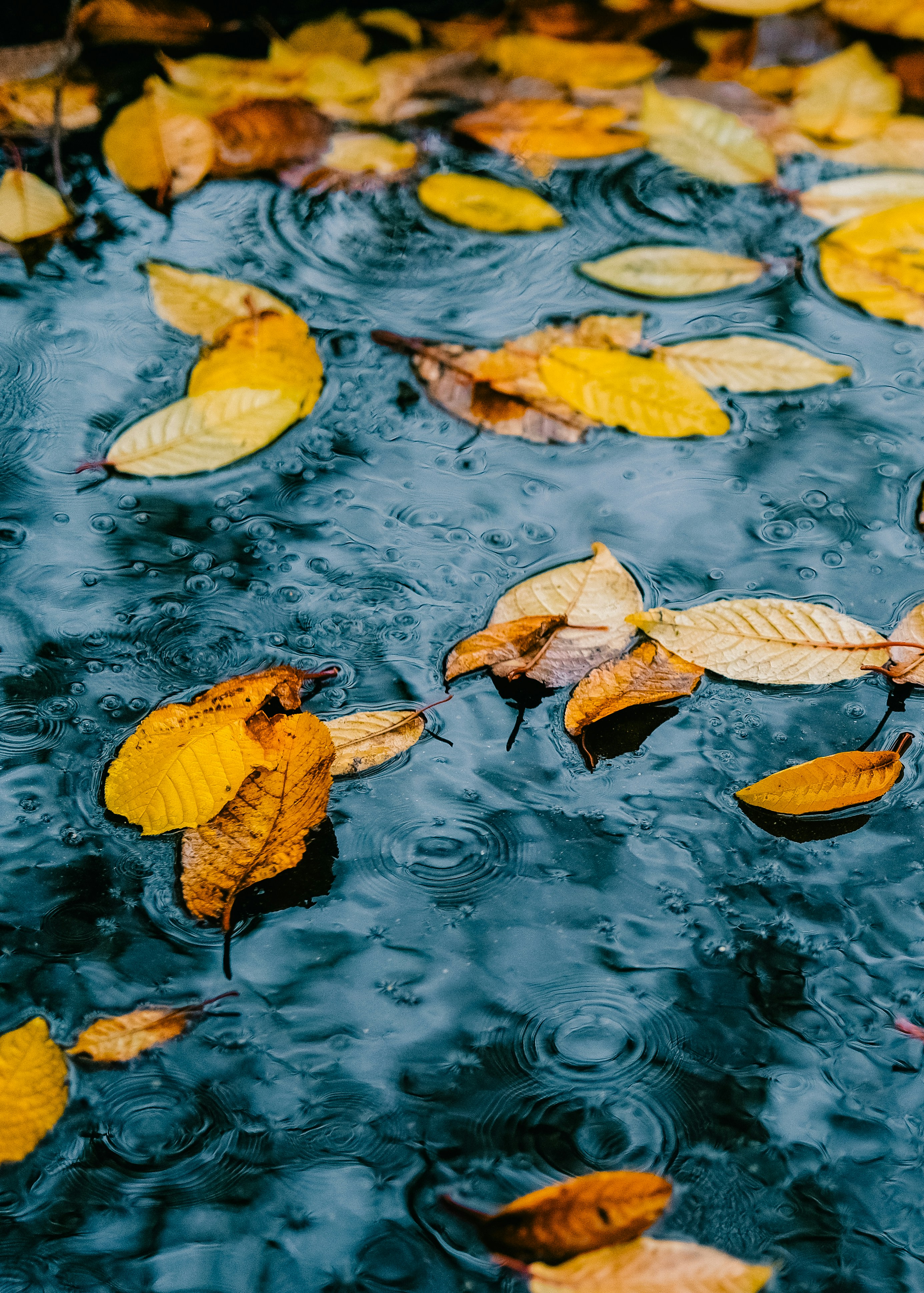 Photo by feodorchistyakov