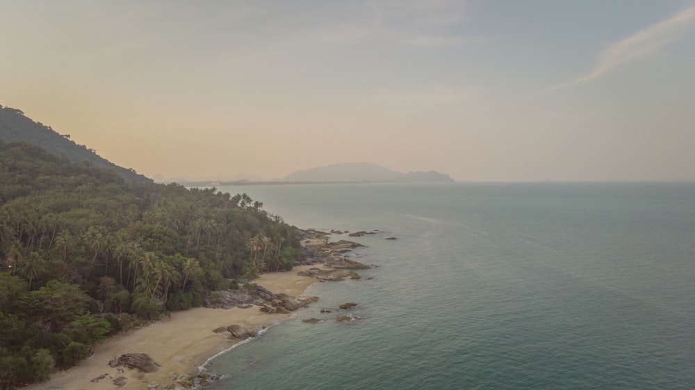 an aerial view of a beach and forested area