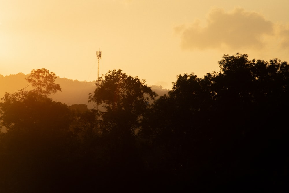 the sun is setting over the trees in the distance