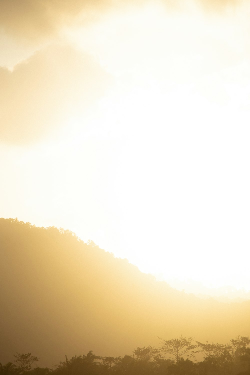 a lone giraffe standing in a field at sunset