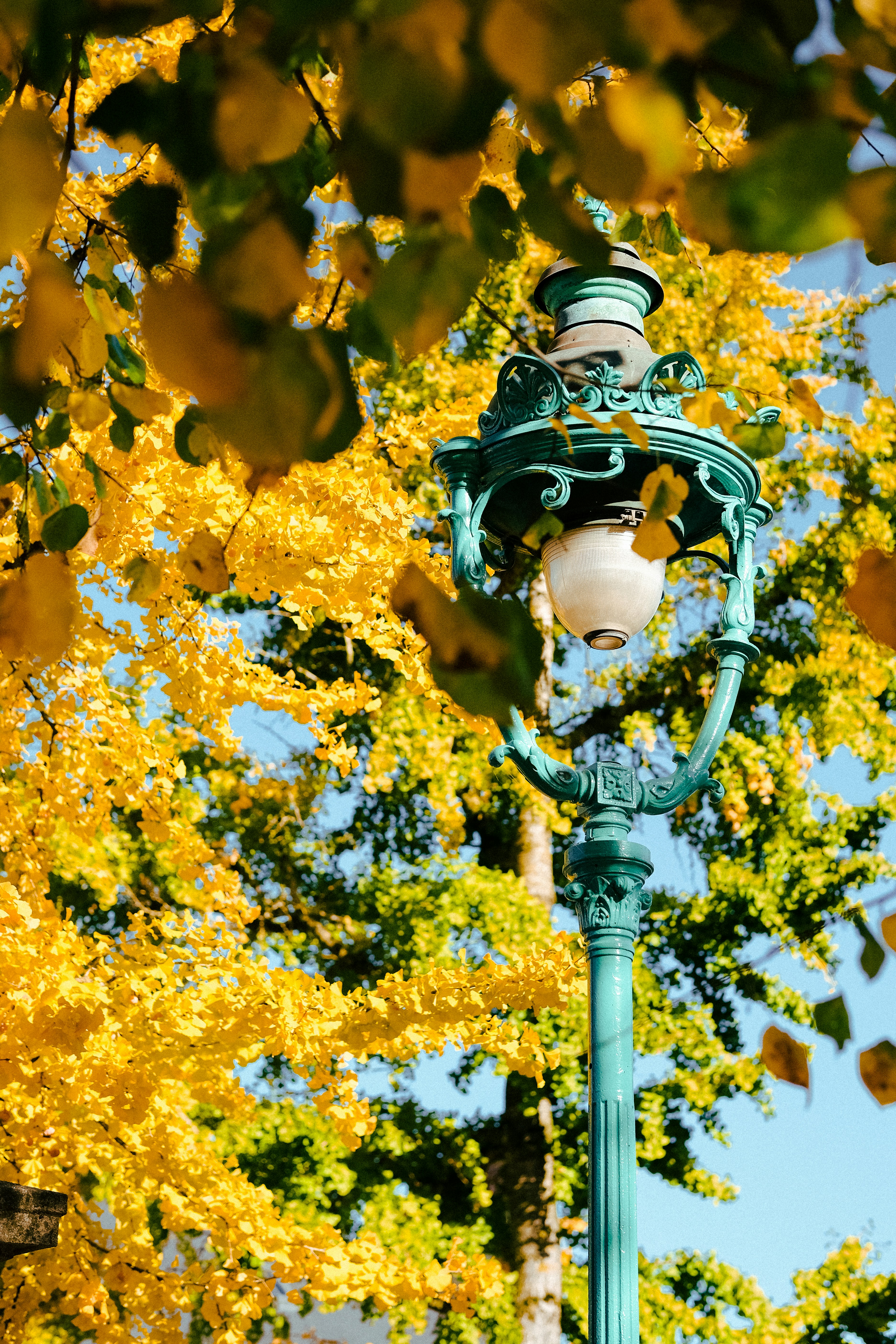 A lamp post with a tree in the background photo – Free France Image on ...