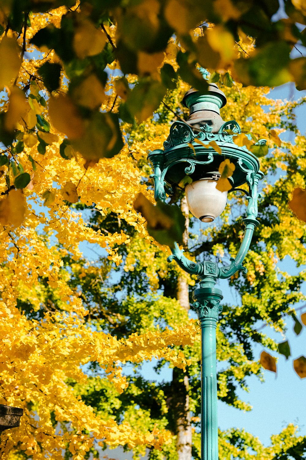 a lamp post with a tree in the background