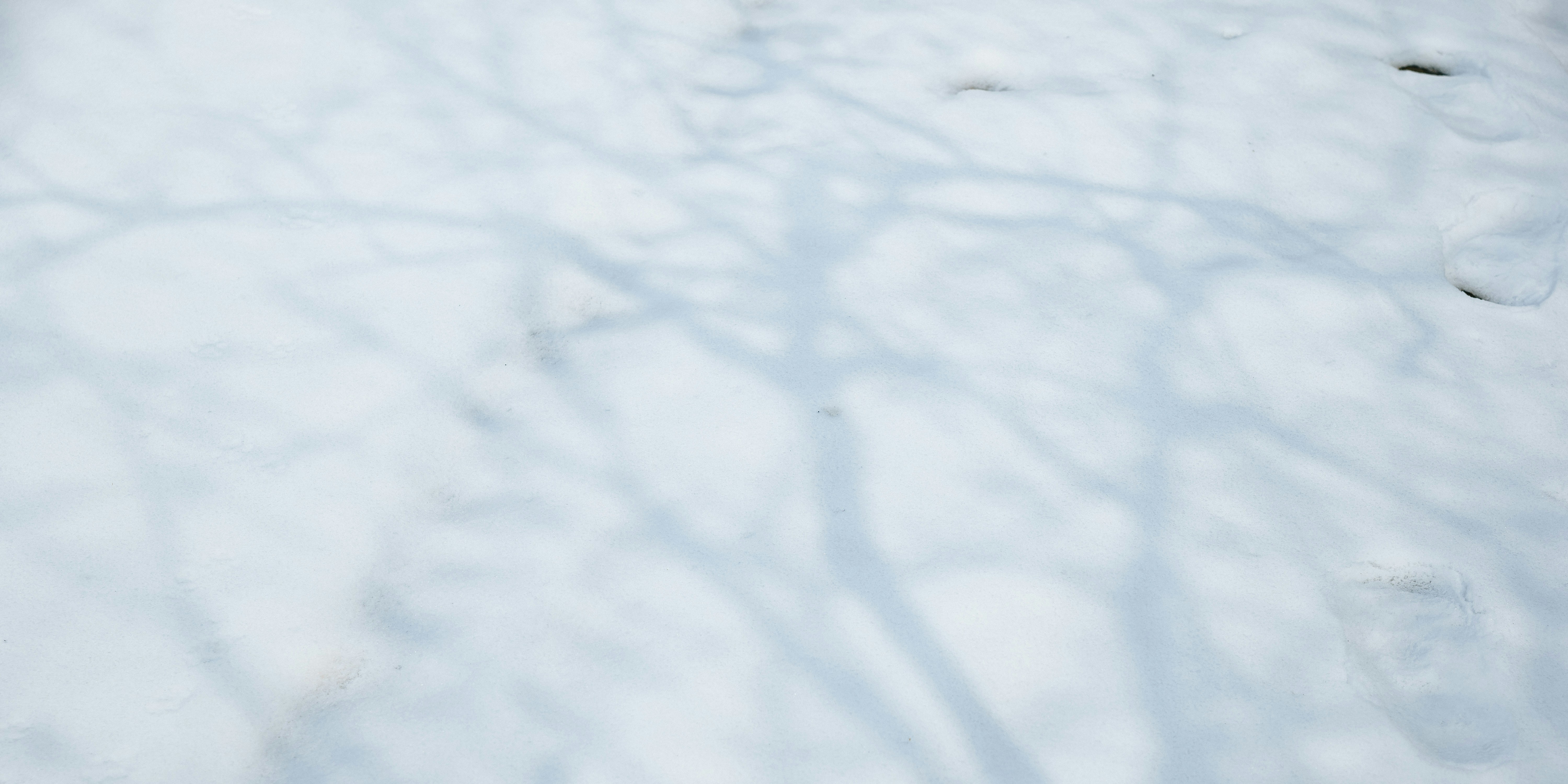 Photo by summerobelisk