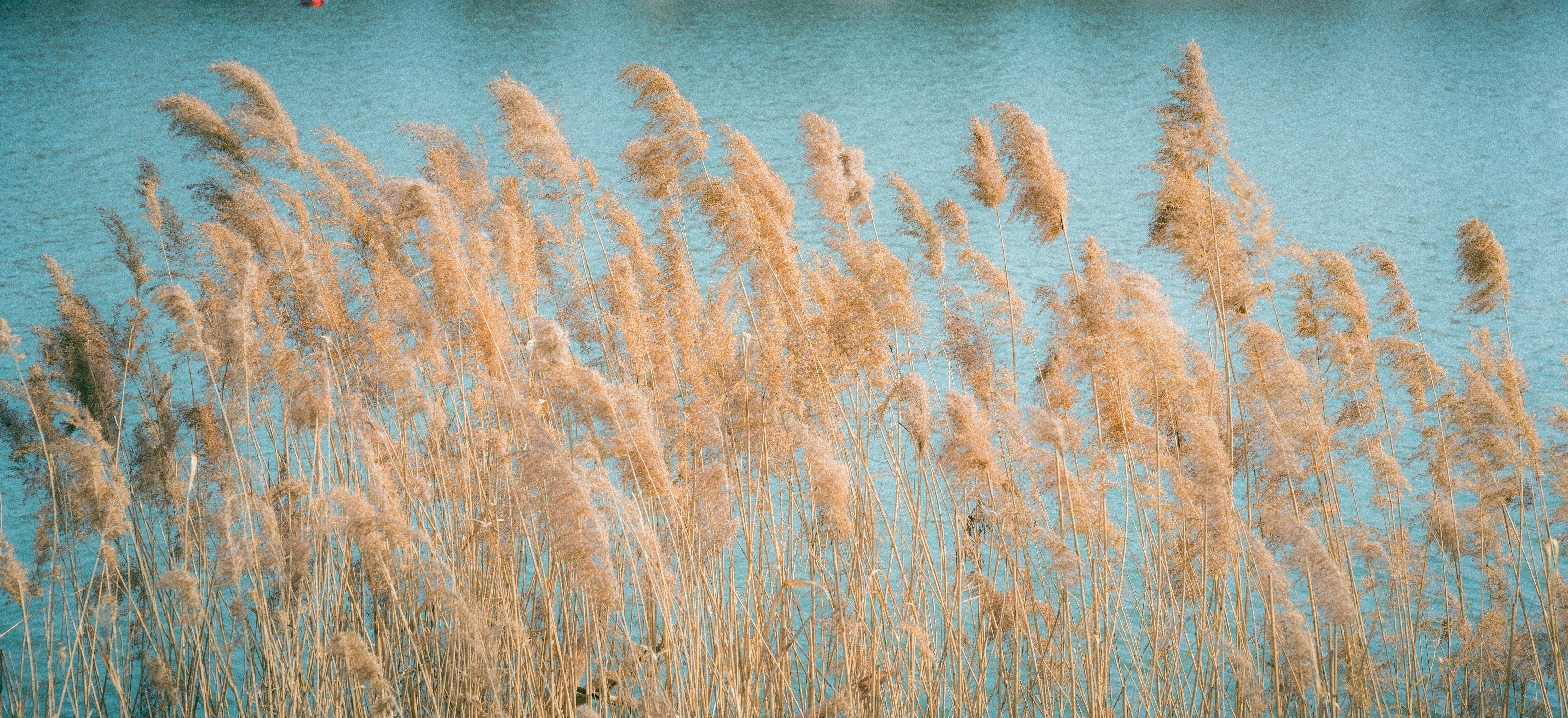 Photo by summerobelisk