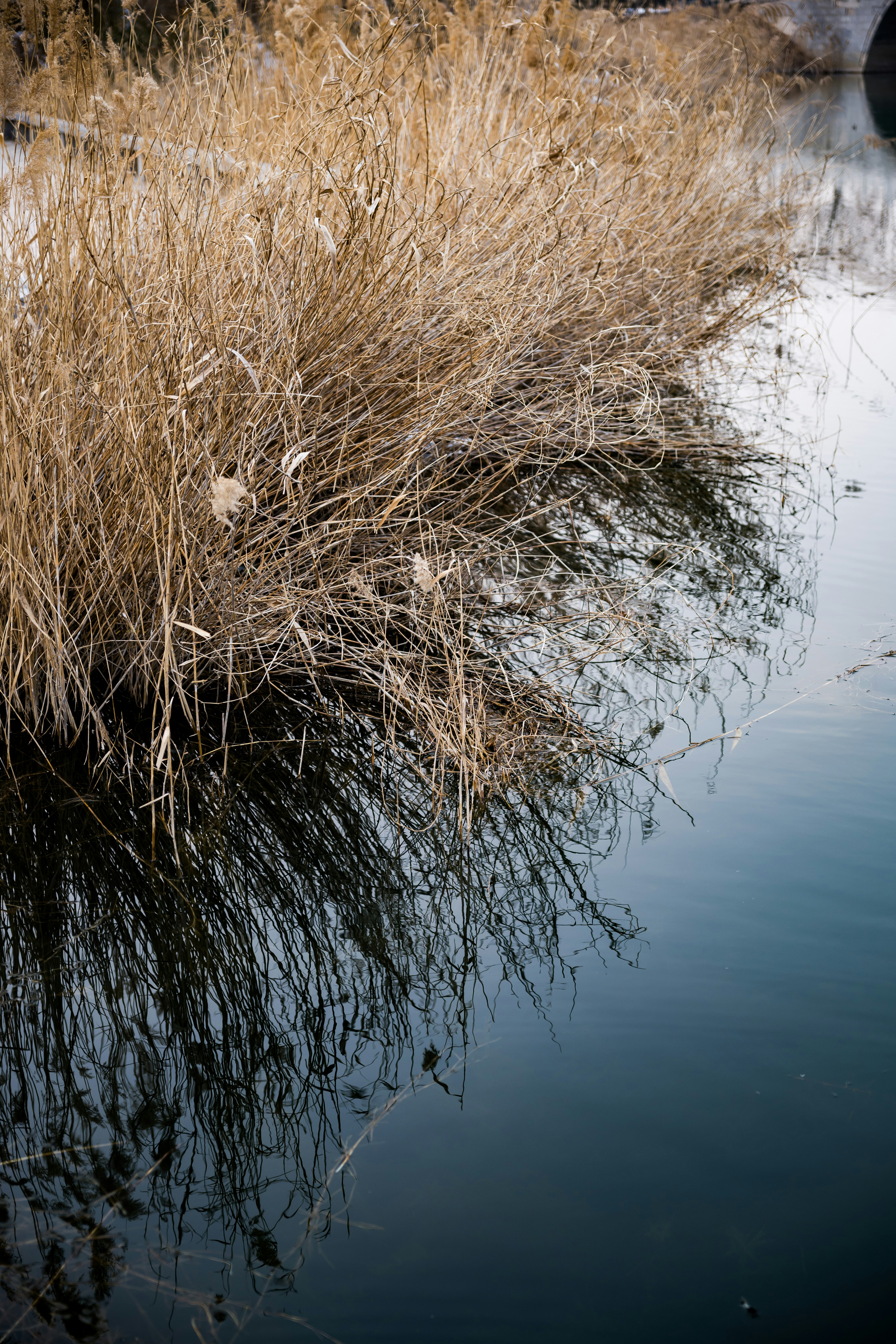 Photo by summerobelisk