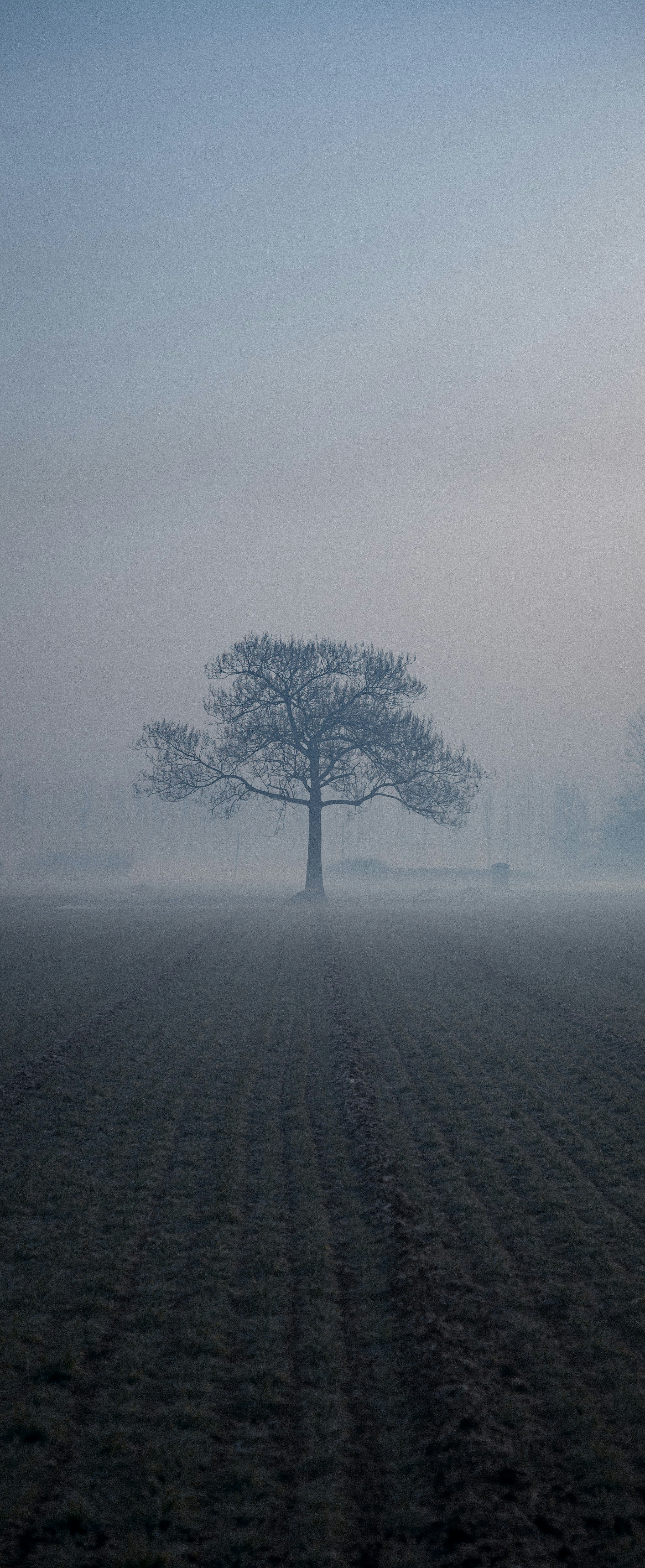 Photo by summerobelisk