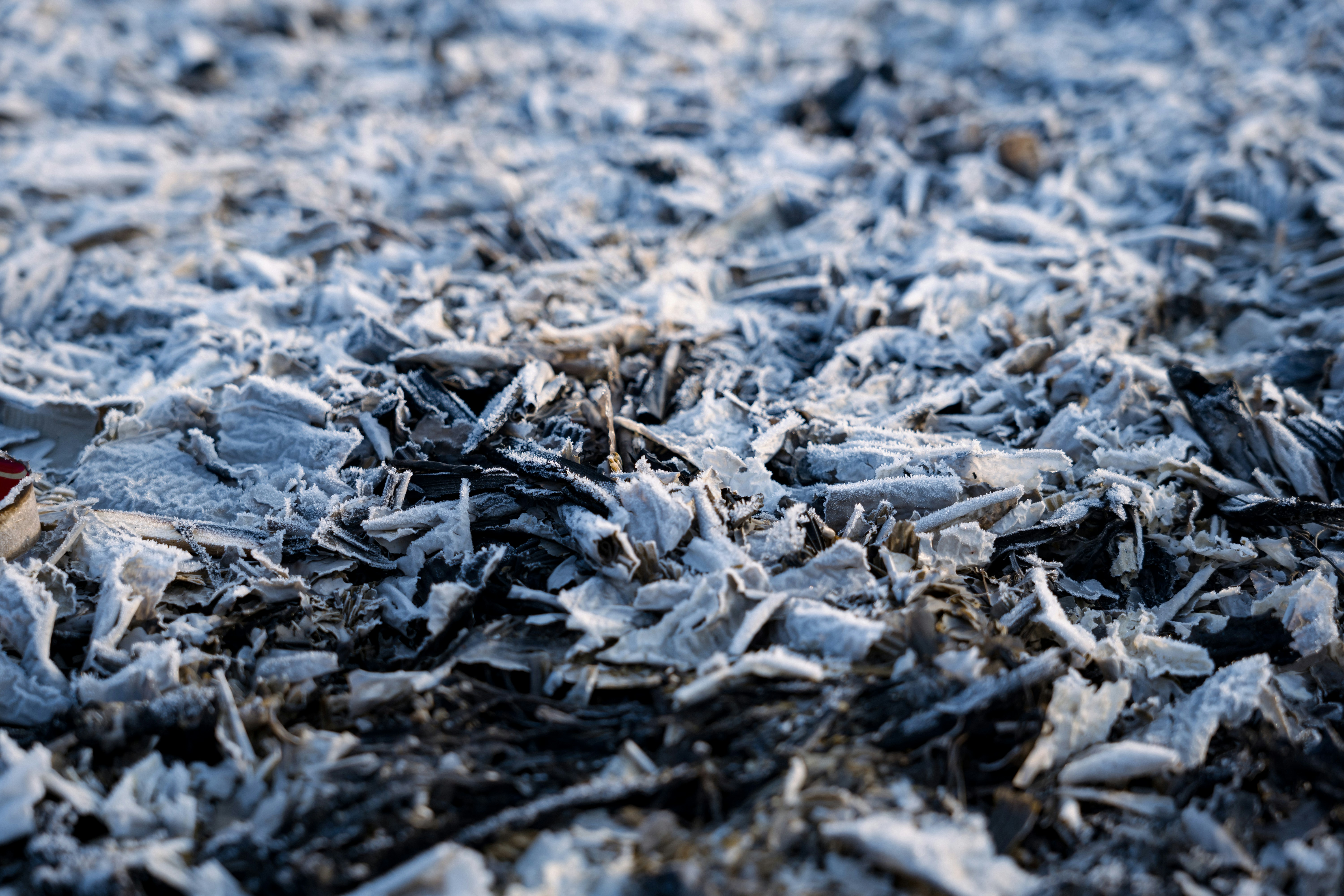 Photo by summerobelisk