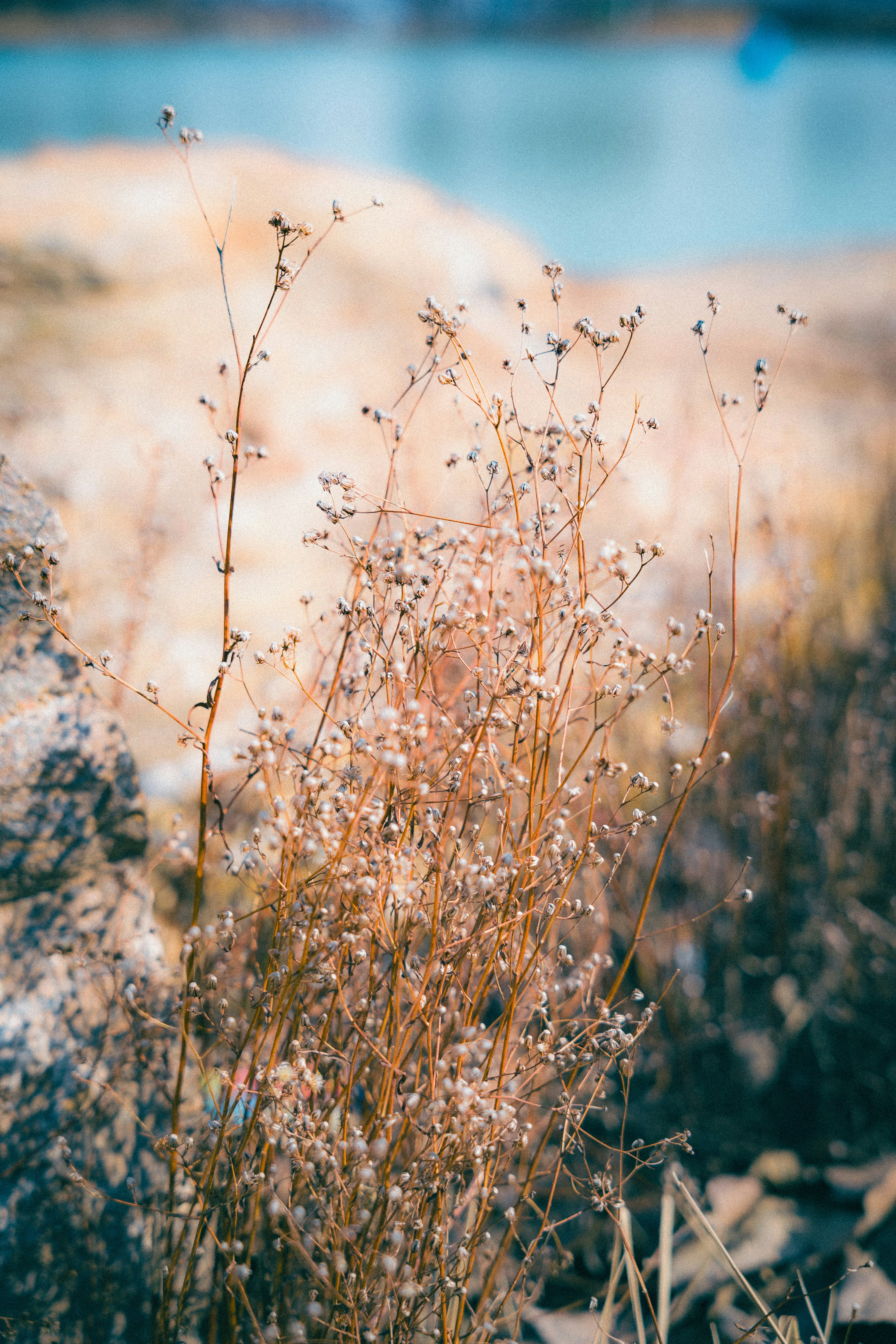 Photo by summerobelisk