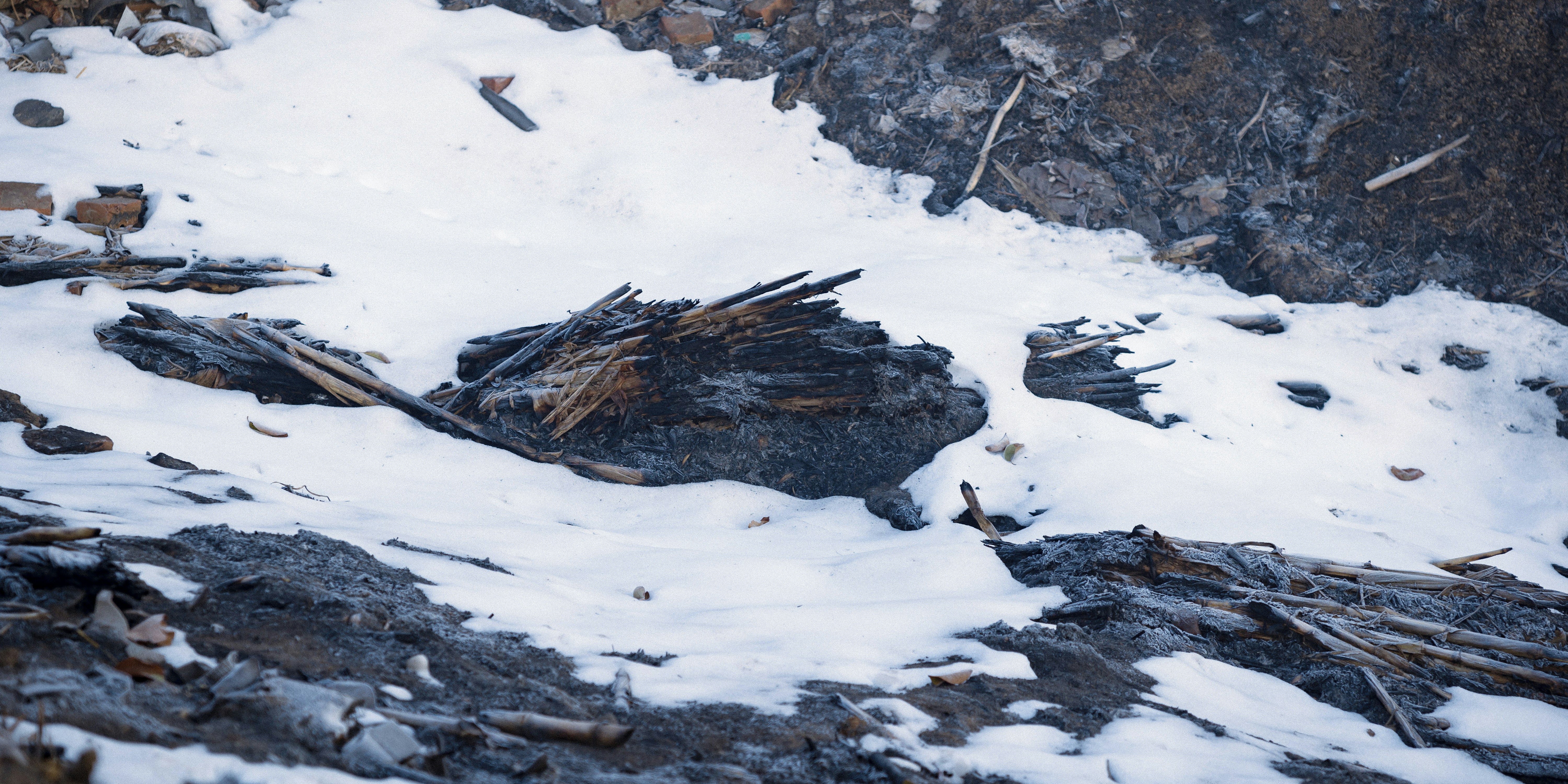 Photo by summerobelisk