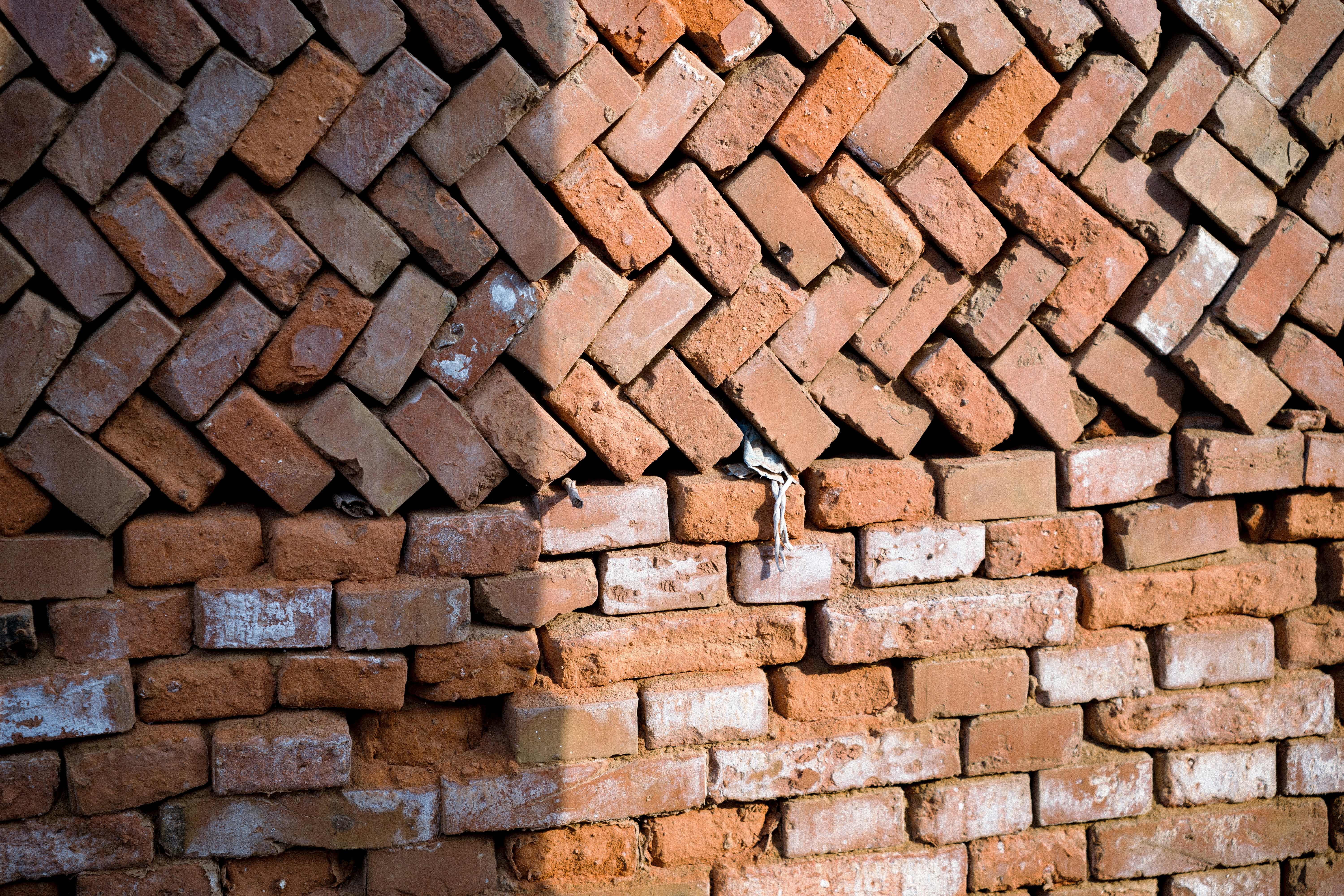 Photo by summerobelisk