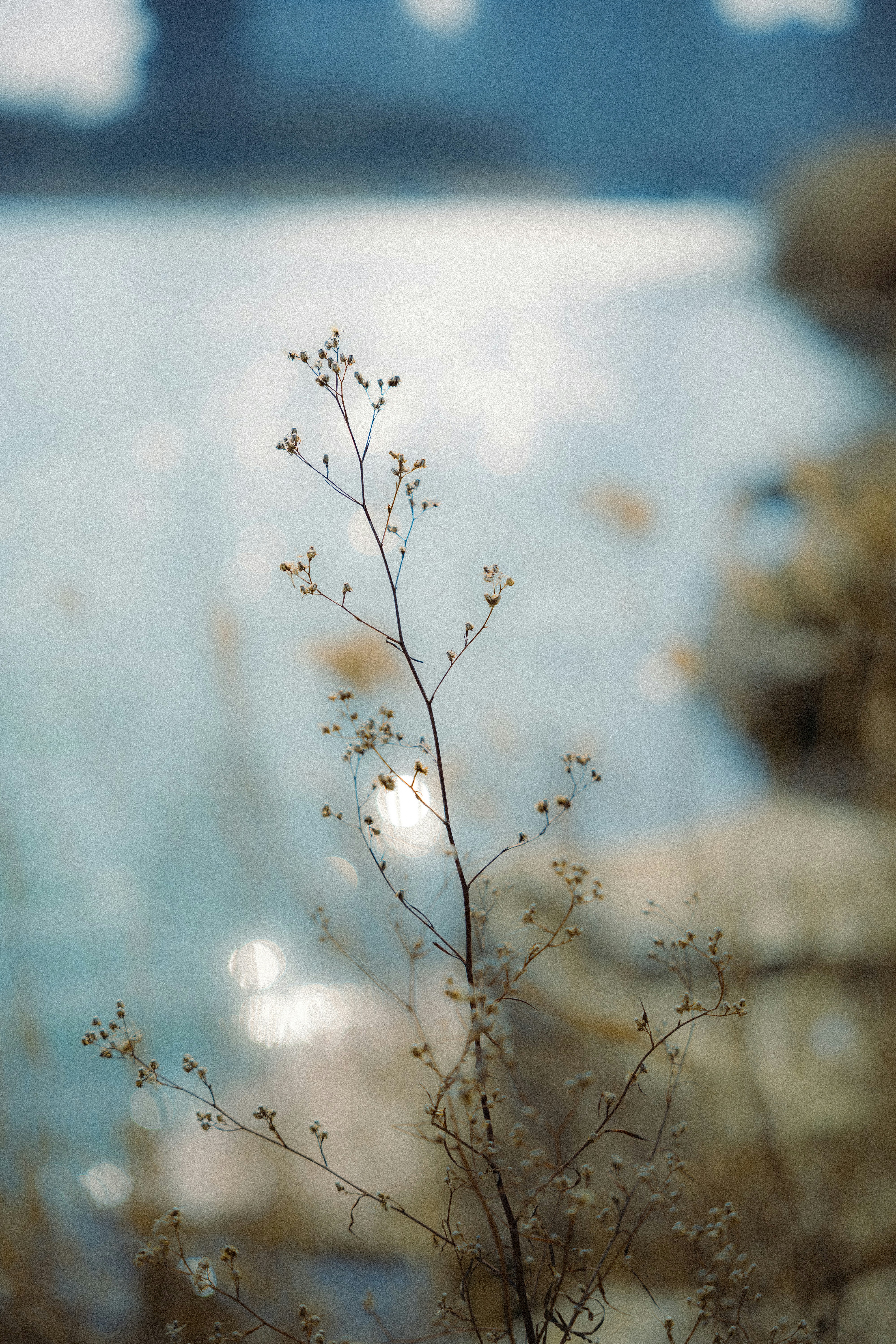 Photo by summerobelisk