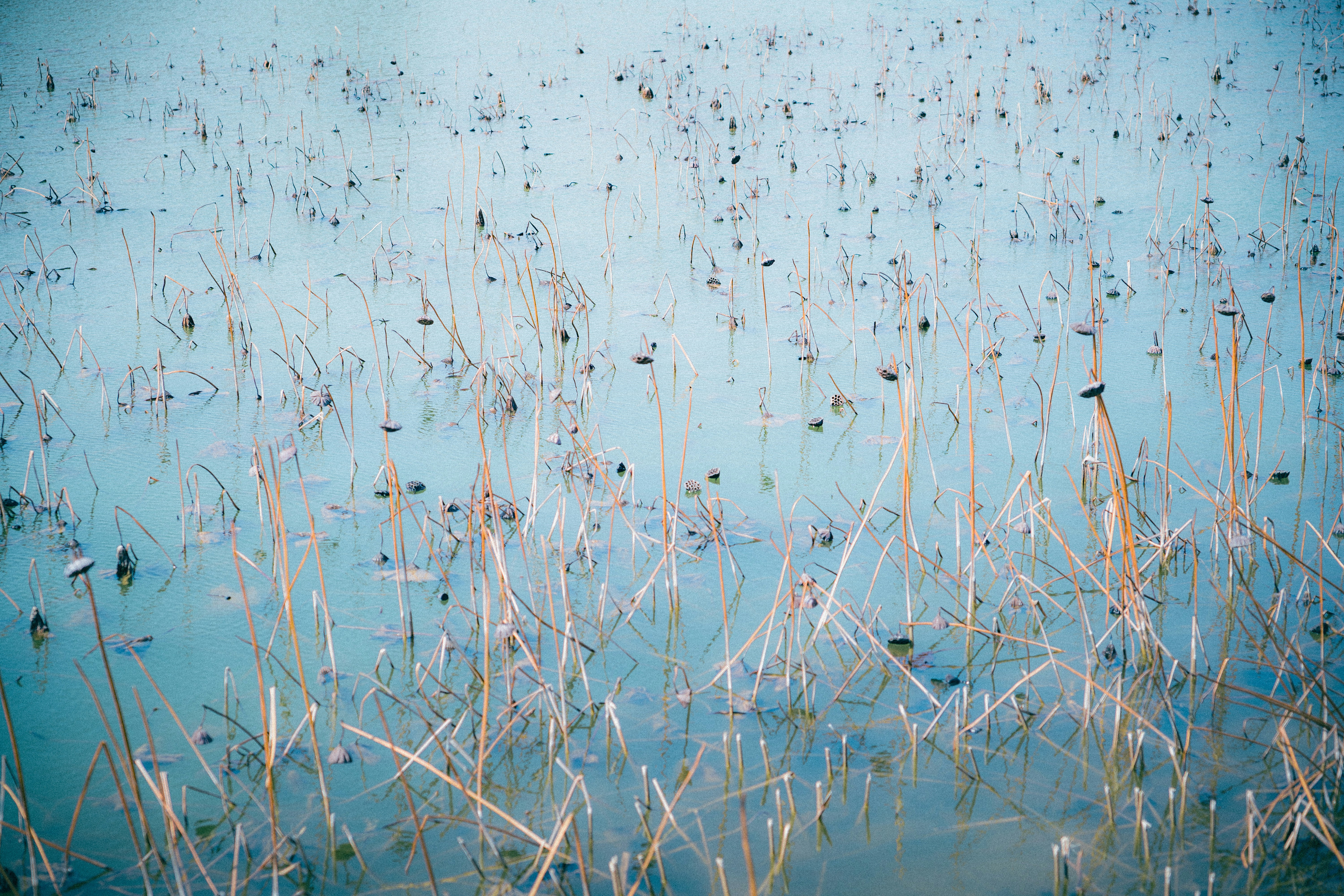 Photo by summerobelisk