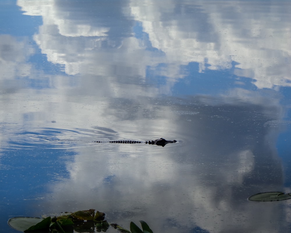 a body of water with clouds in the background