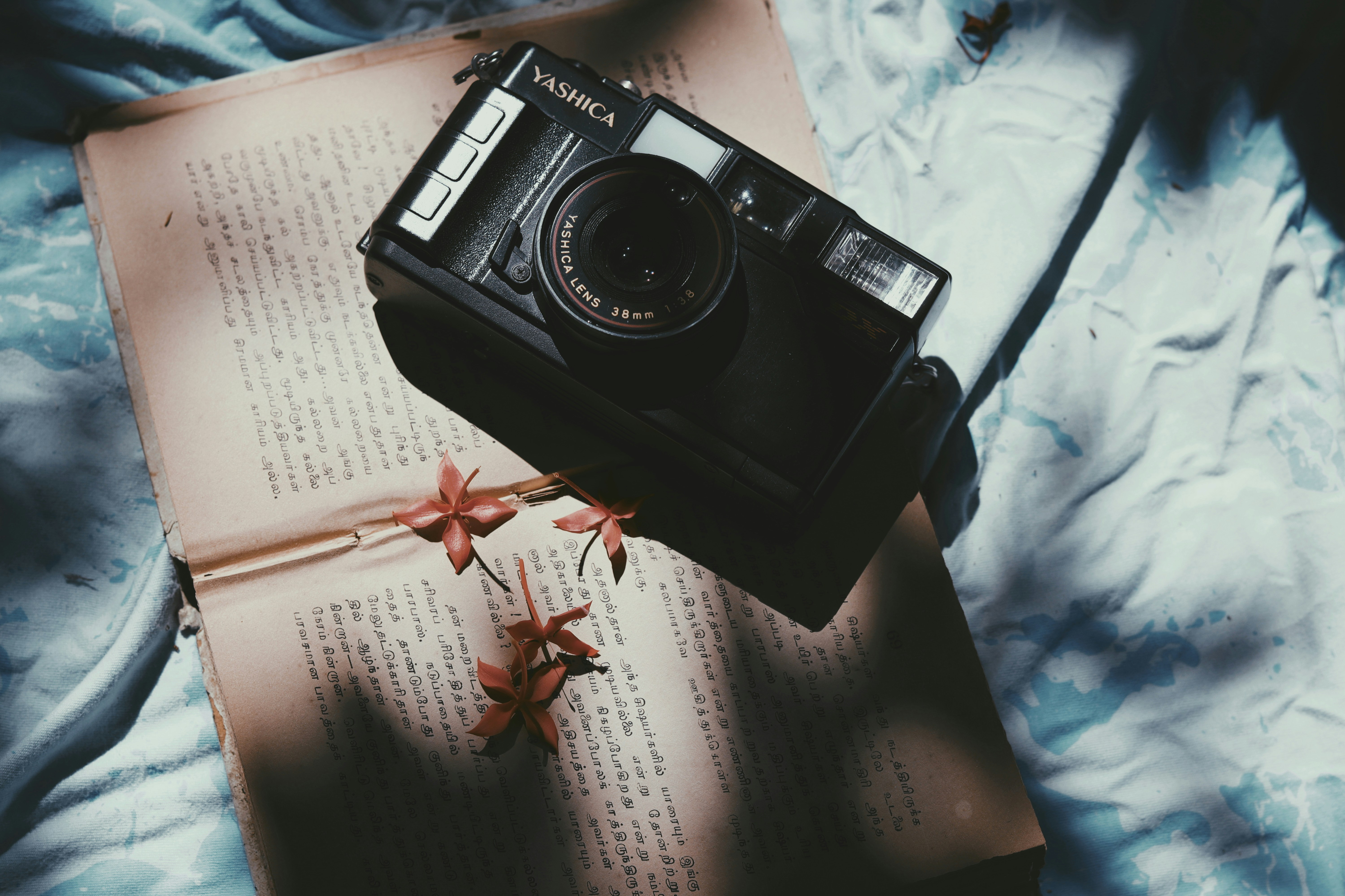 Photo by dhilipantony