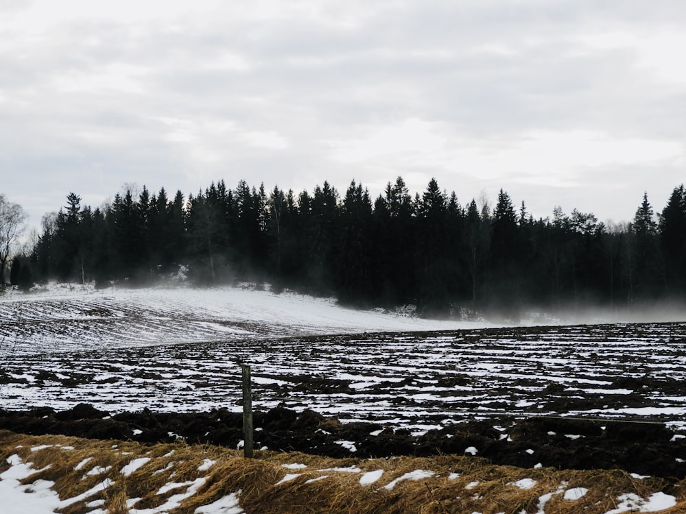 a snow covered field with trees in the background