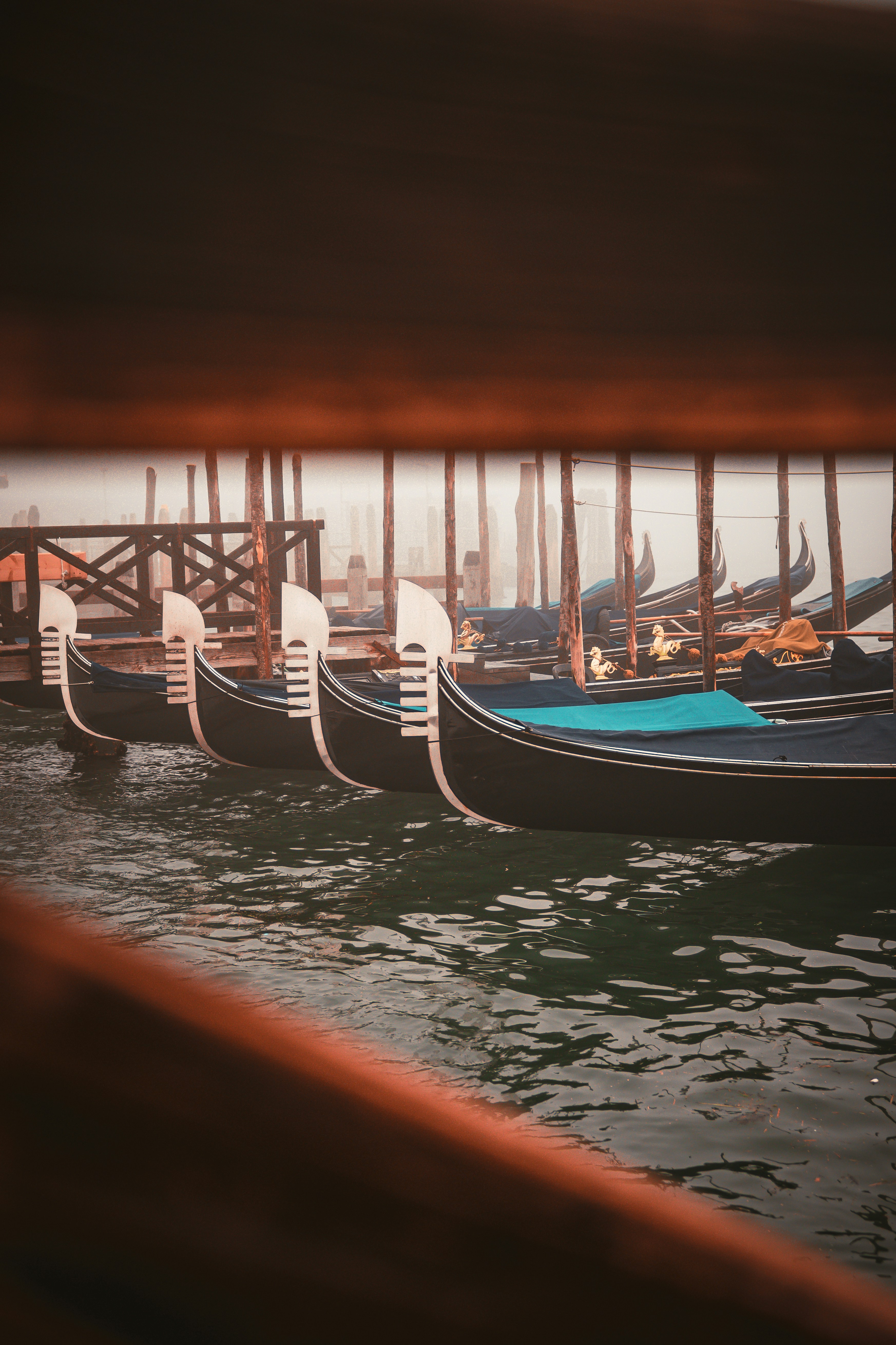 Photo by gonchifacello