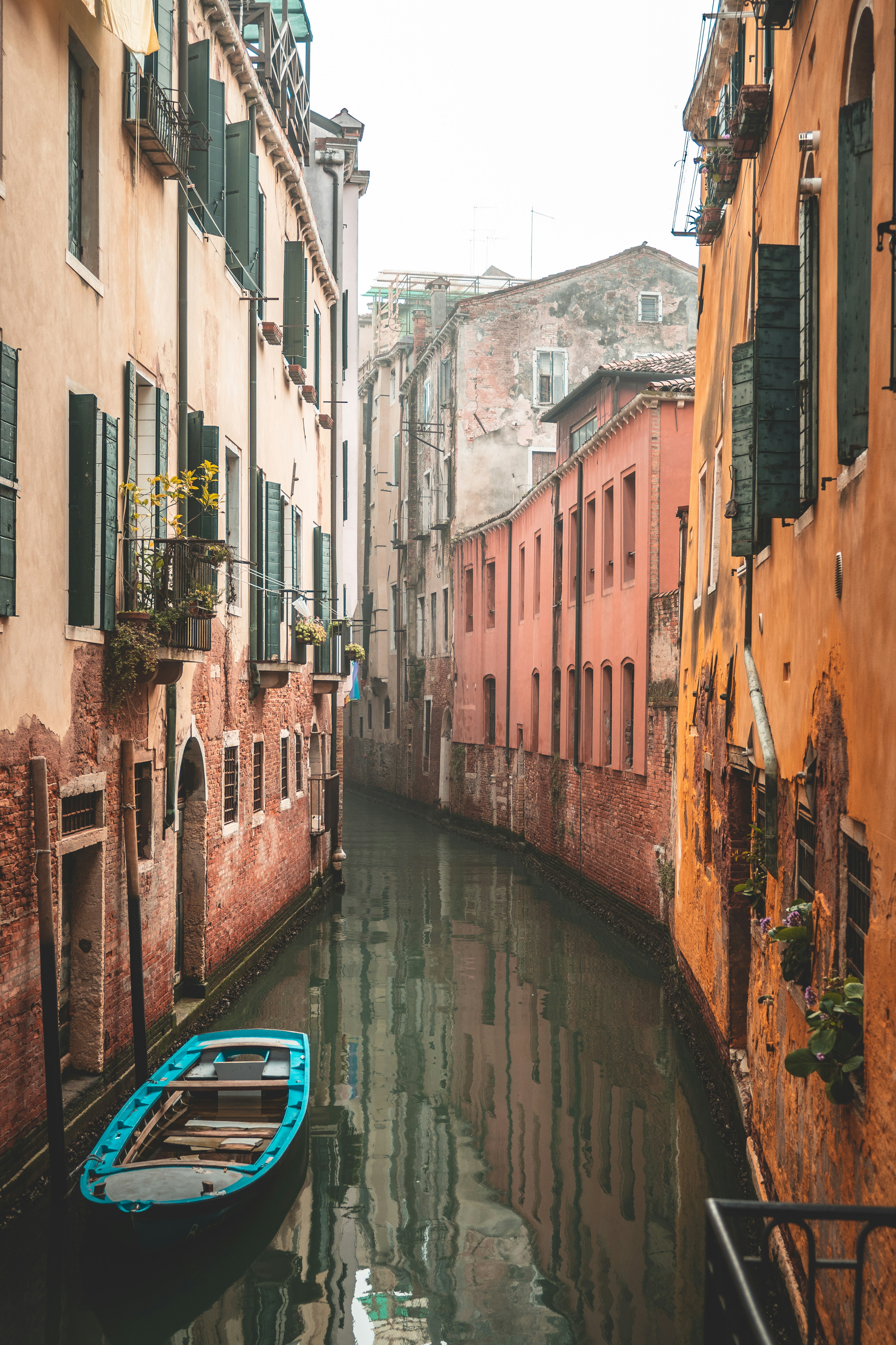 Photo by gonchifacello