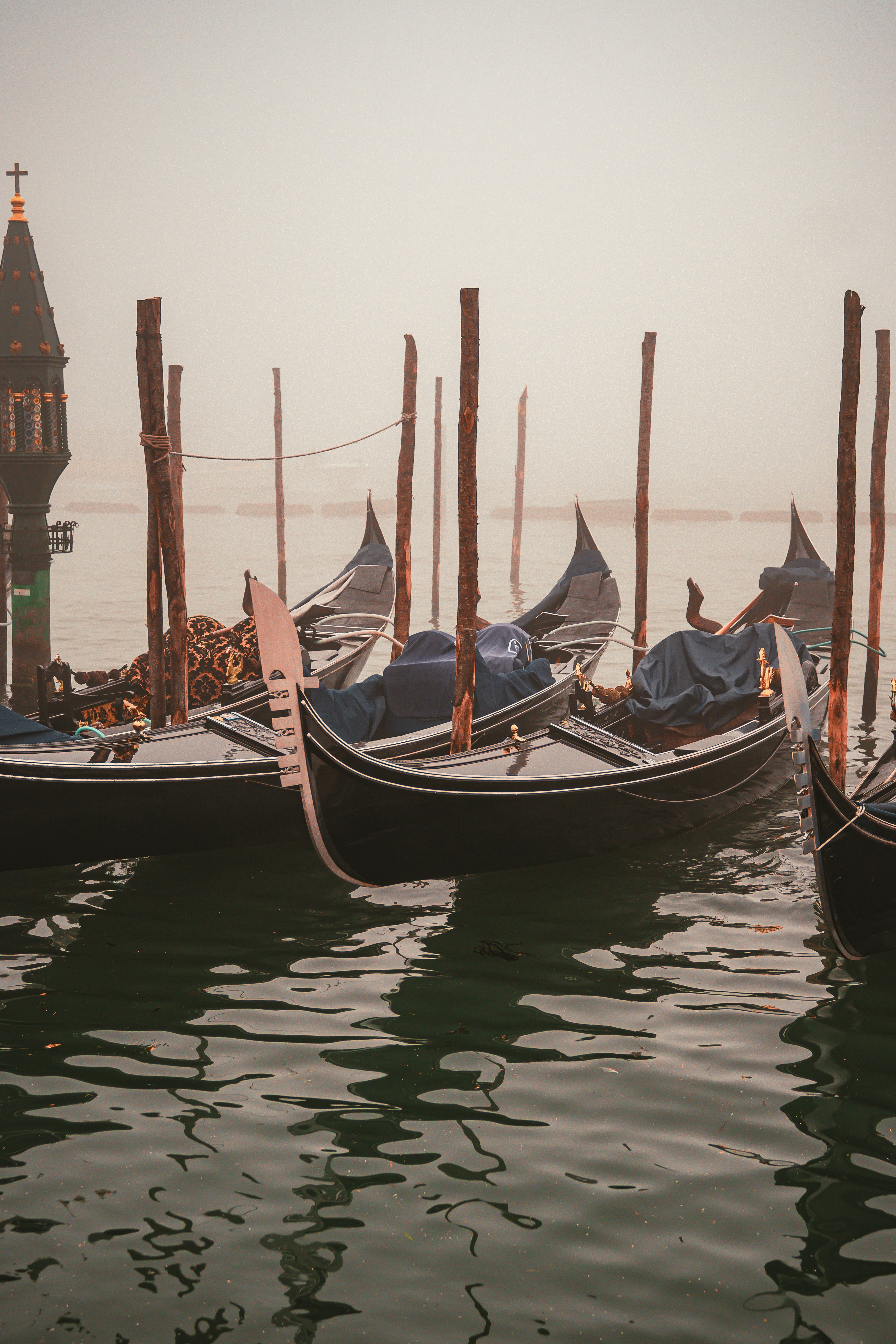 Photo by gonchifacello