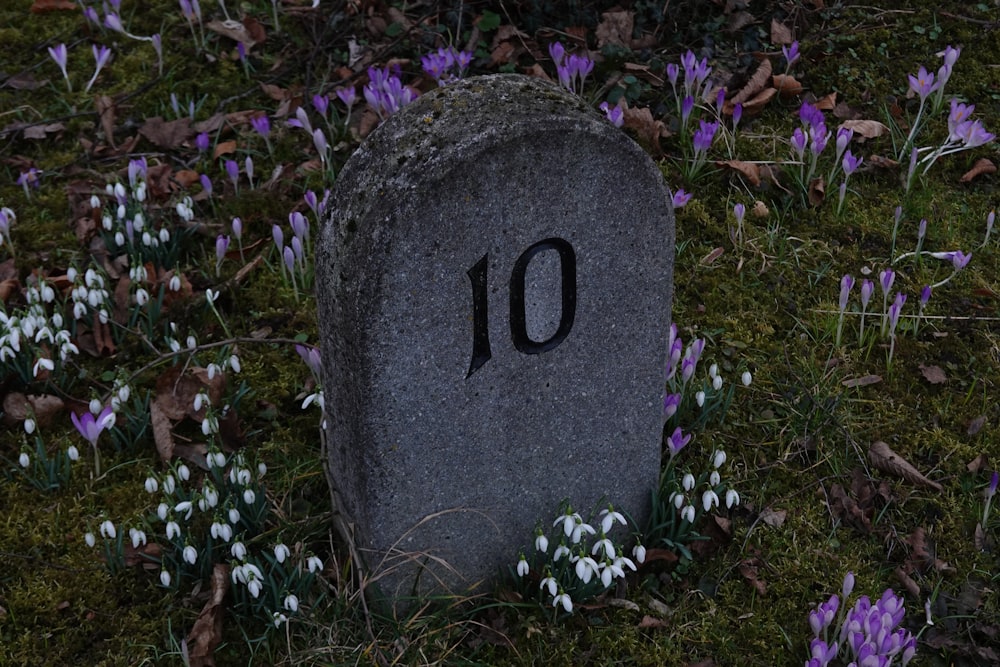 a stone with the number ten on it in a field of flowers