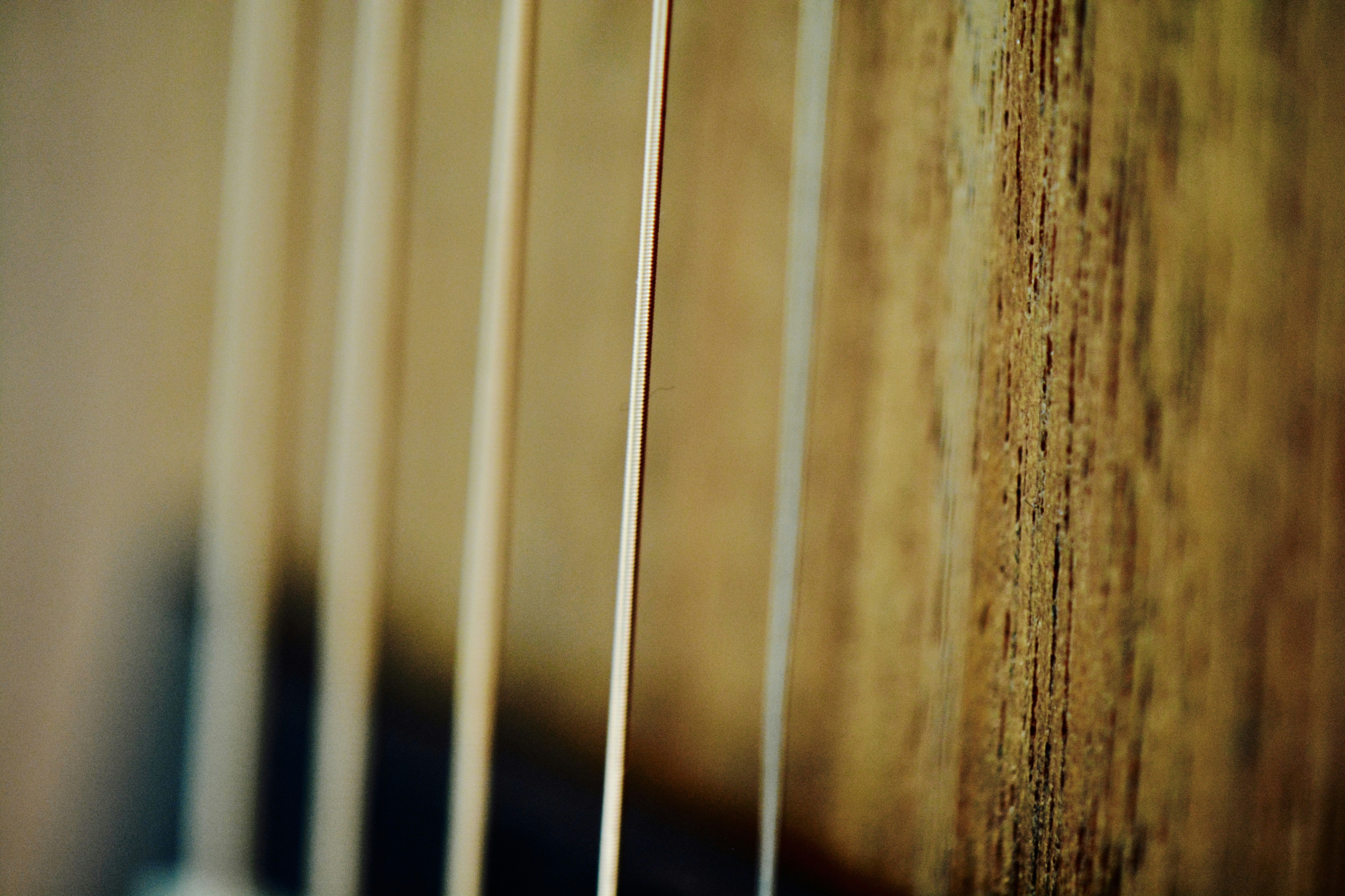 Photo by elizabethlove