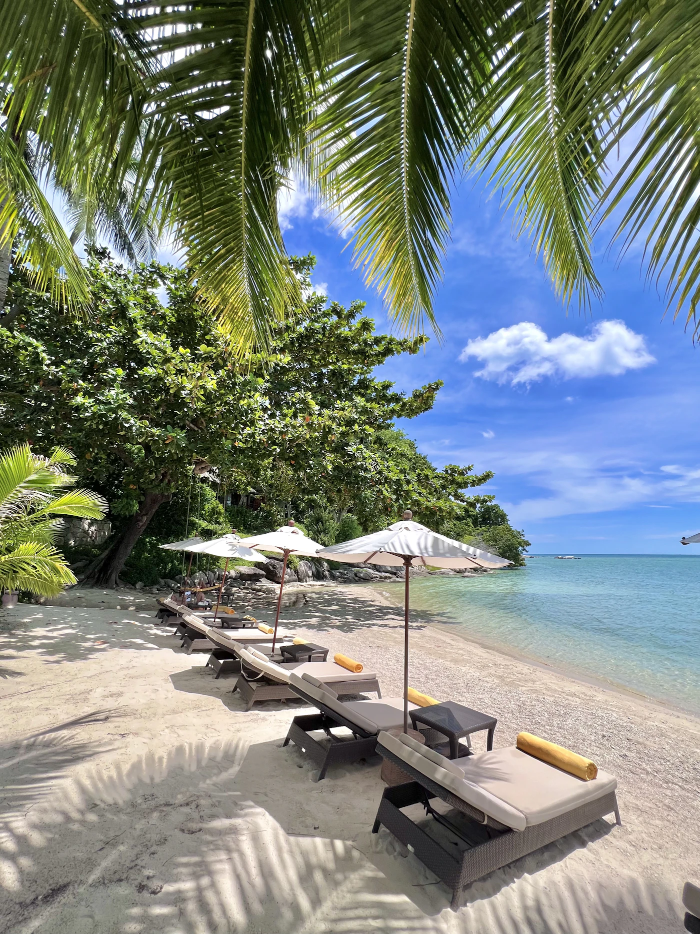 Sun loungers and umbrellas under palm trees on a quiet Koh Samui beach