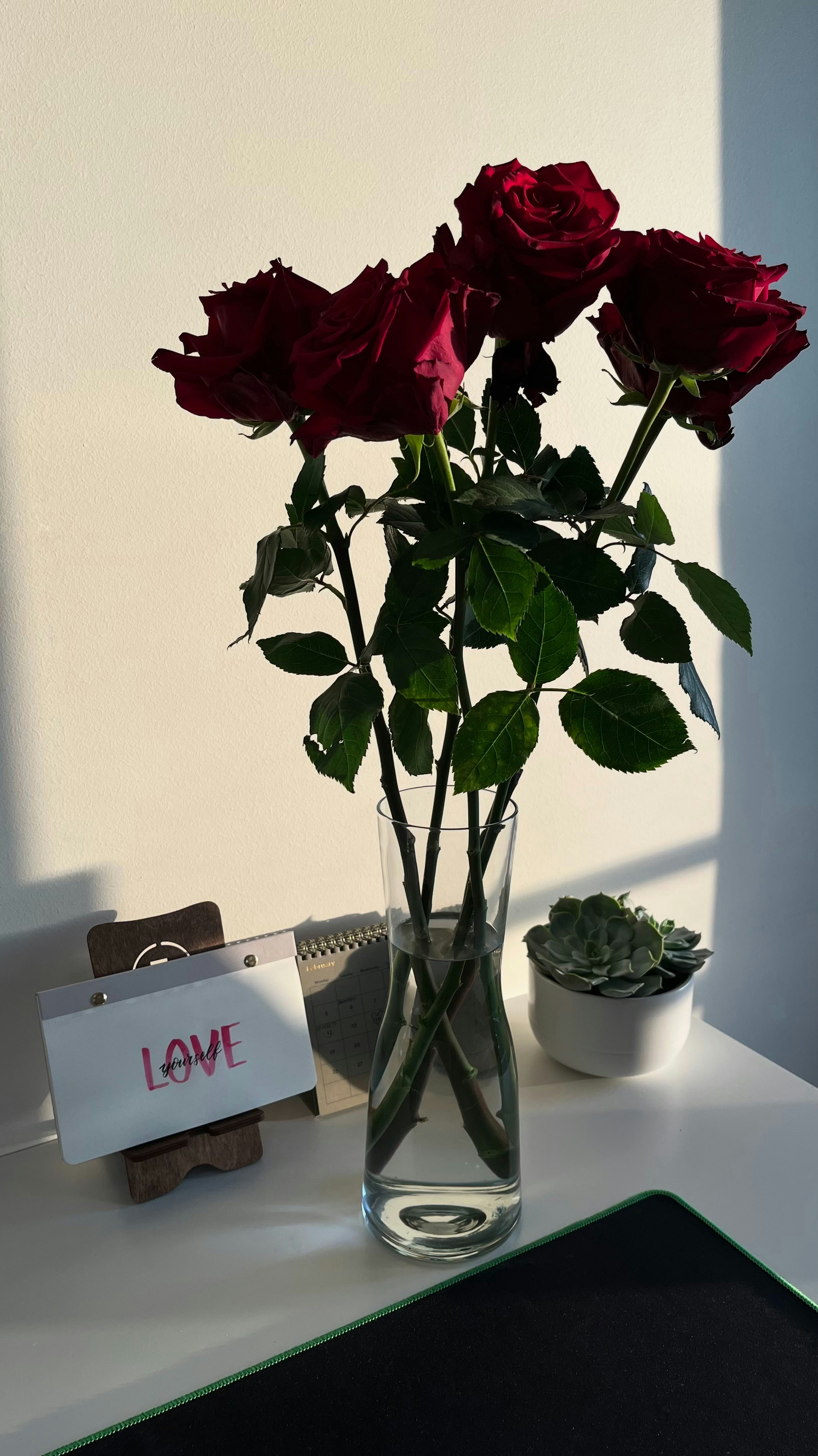 A glass vase filled with red roses on top of a table photo – Free ...