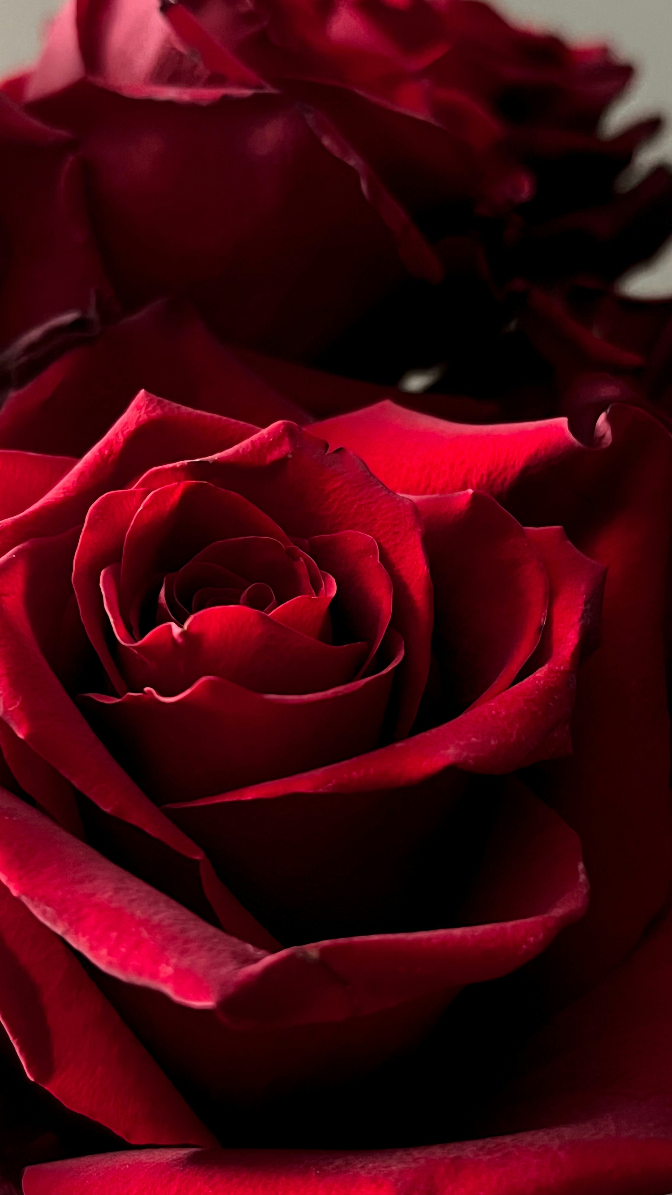 Photo by glebremniov