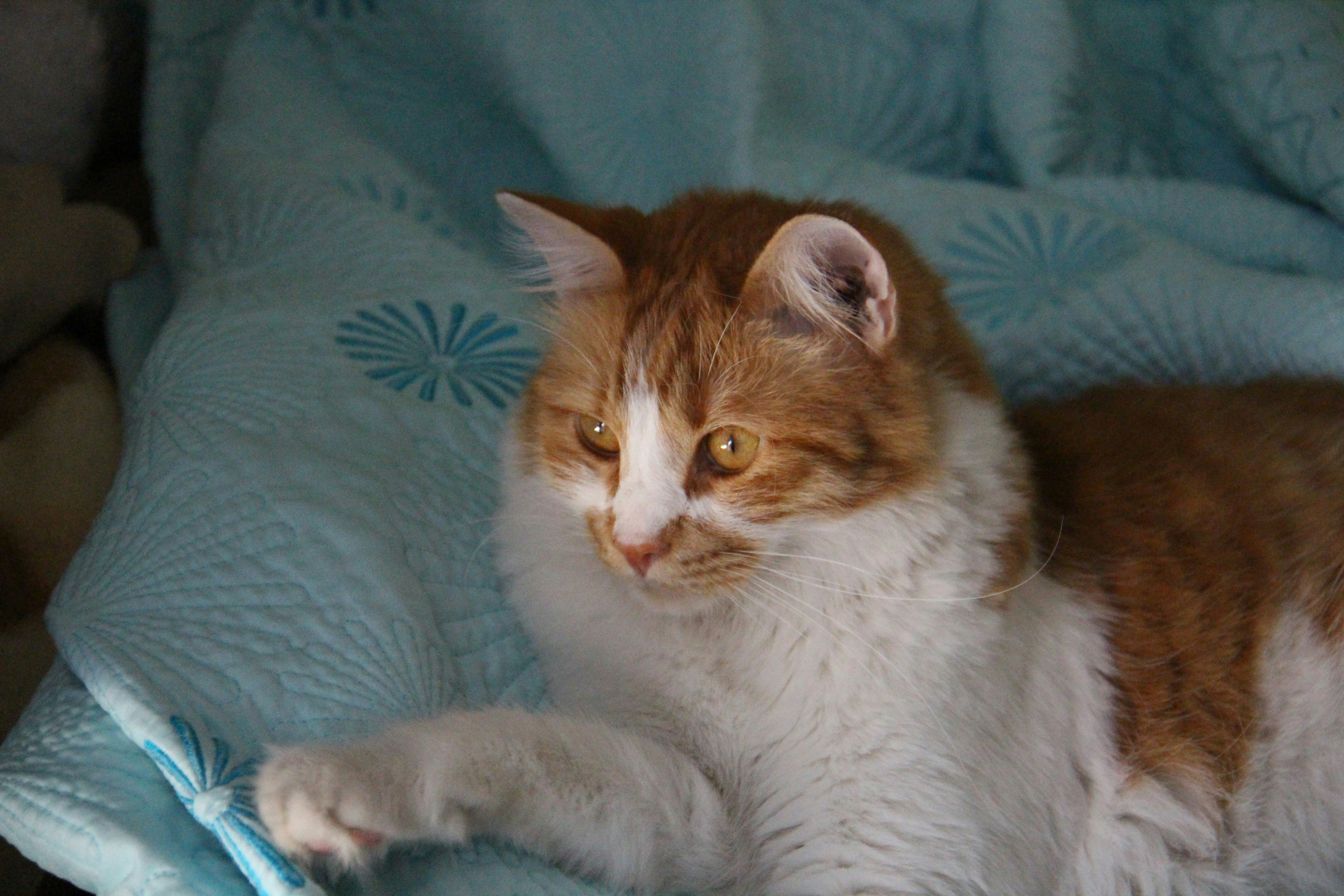 Photo by defneheybeli